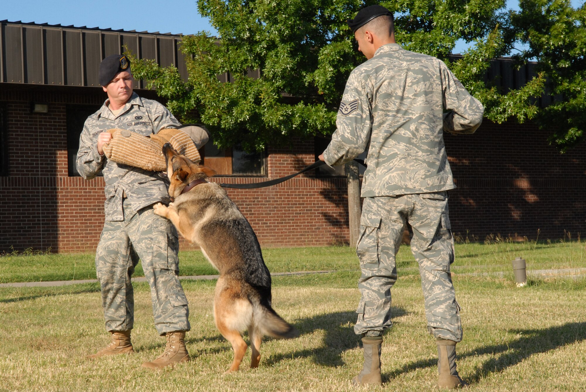 Military Working Dog Emma, 17th Security Forces Squadron, demonstrates her capabilities on Senior Airman Anthony Richison, 17 SFS, with the help of MWD Emma's handler, Staff Sgt. Christopher Bauer, 17 SFS, during Operation KIDS Oct. 4. (U.S. Air Force photo by Senior Airman Kasabyan Musal)