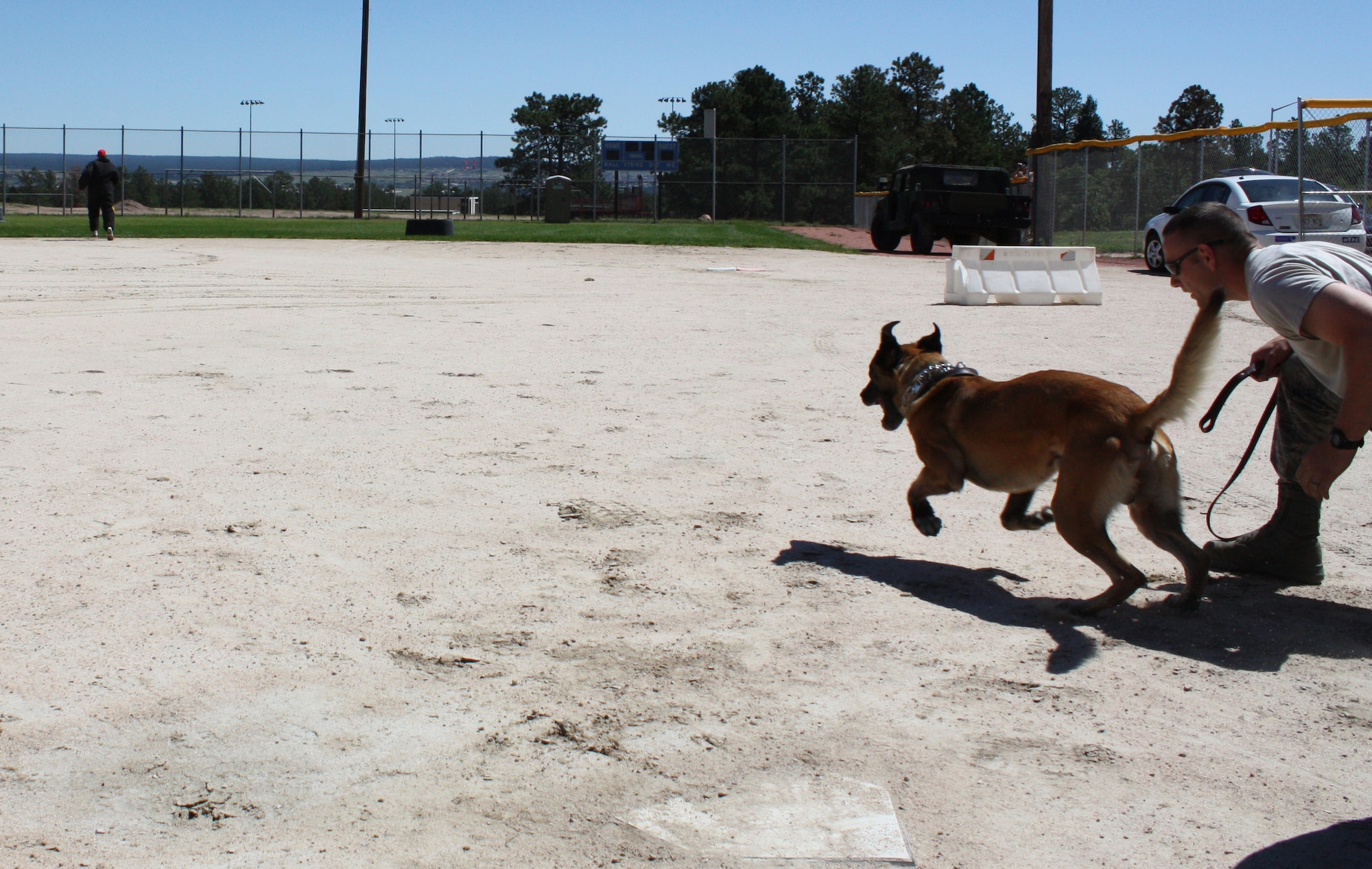 U.S. AIR FORCE ACADEMY, Colo. -- Military Working Dog, Dino, runs after the decoy during the Rocky Mountain K9 Trails Sept. 21-22. Dino and his handler, Staff Sgt. Kurt Lugar, finished in third place at their first competition. (U.S. Air Force photo)