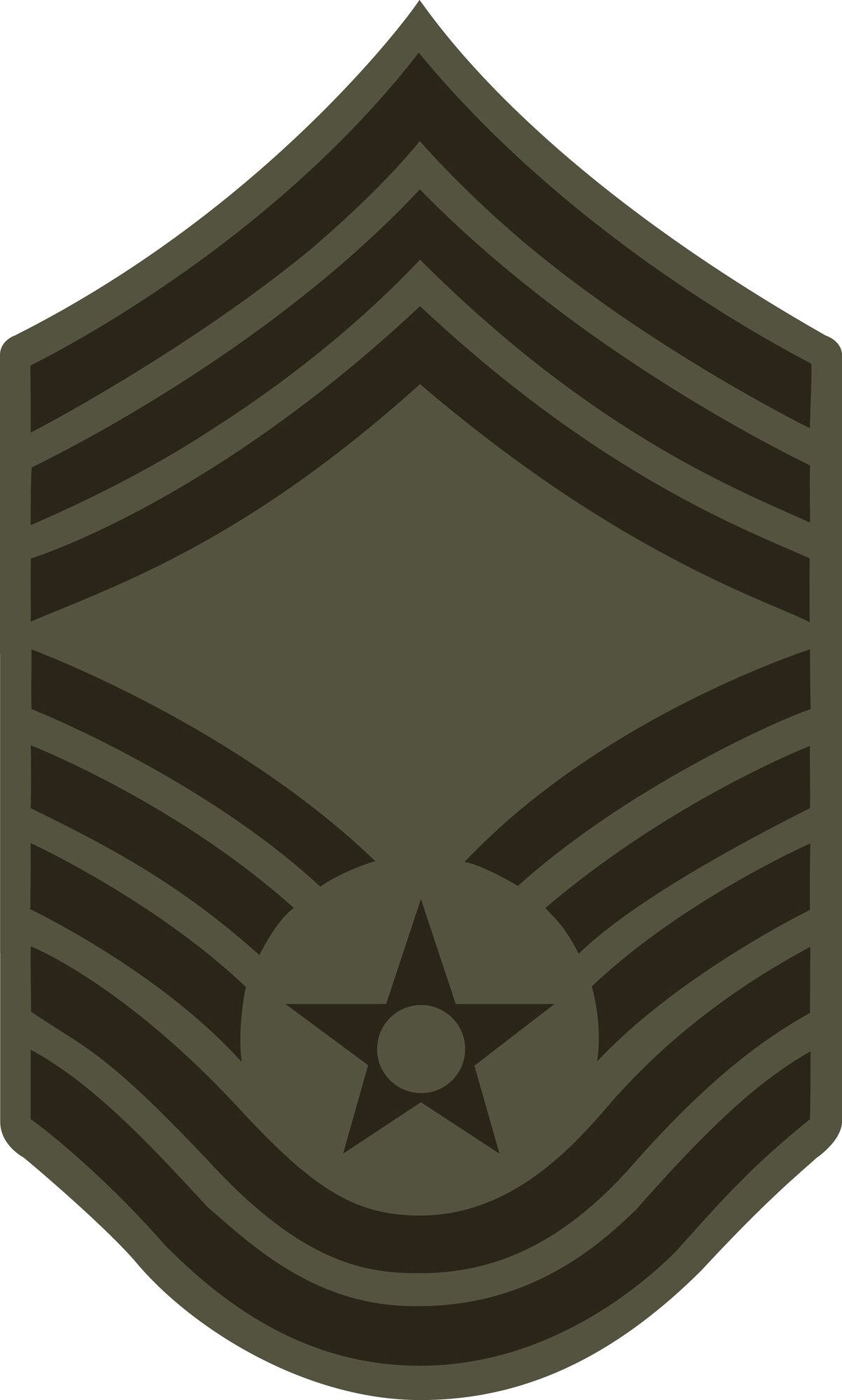 Chief Master Sergeant, E-9 (ABU color). This graphic is provided by Defense Media Activity-San Antonio and is 5x8.3 inches @ 300 ppi.