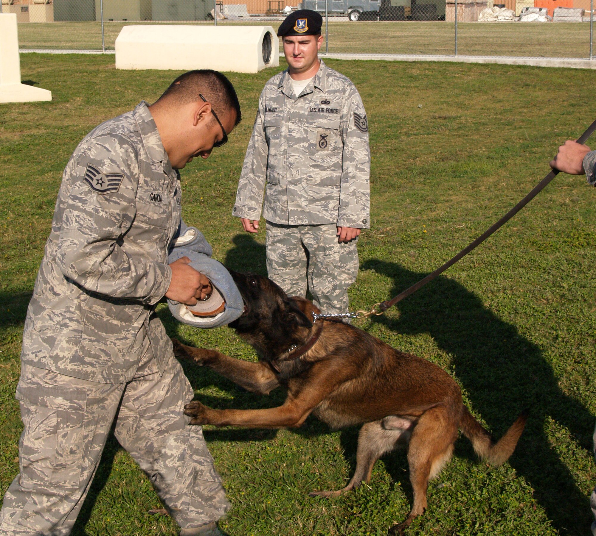 LAUGHLIN AIR FORCE BASE, Texas -- Tech. Sgt. Nicholas Ehlinger, 47th Security Forces Squadron, helps train Xxavier, 47th SFS military working dog, by teaching him to attack Staff. Sgt. Brian Garcia, 47th SFS dog handler. (photo illustration by Ron Scharven.)
