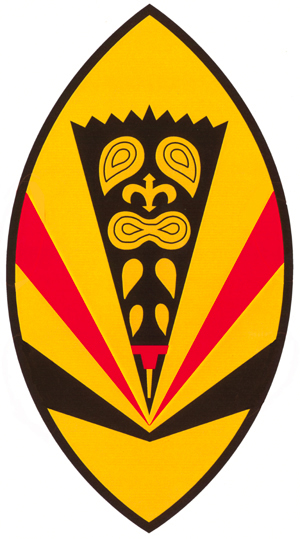 199 FS surf board