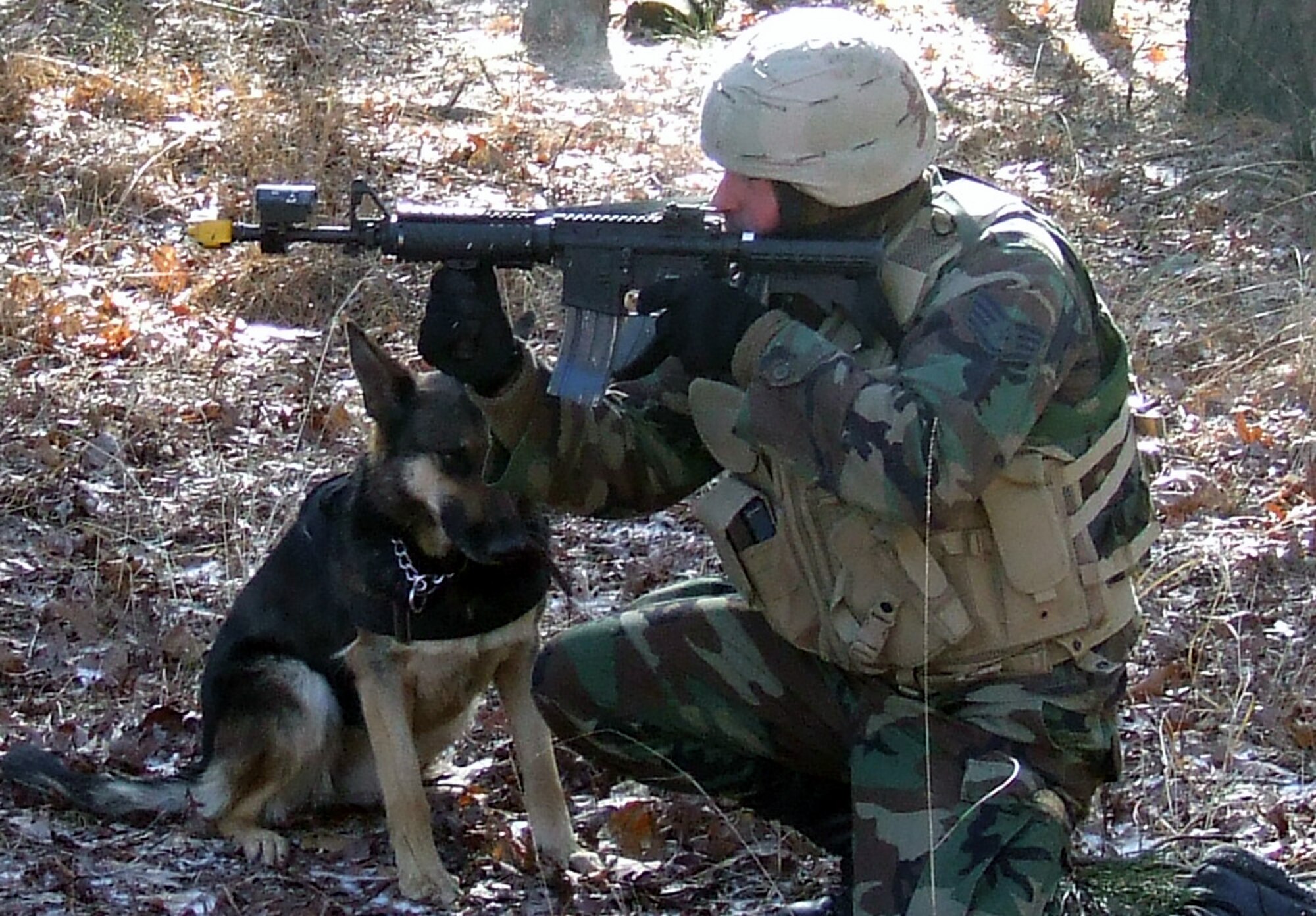 Staff Sgt. Christopher Dion and his military working dog Dena participate in training on a Fort Dix, N.J., range Feb. 14, 2008, for the Air Force Phoenix Warrior Training Course canine track.  Both completed the course before deploying to Afghanistan.  The MWD team is from the 6th Security Forces Squadron at MacDill Air Force Base, Fla.  (U.S. Air Force Photo/Tech. Sgt. Scott T. Sturkol)