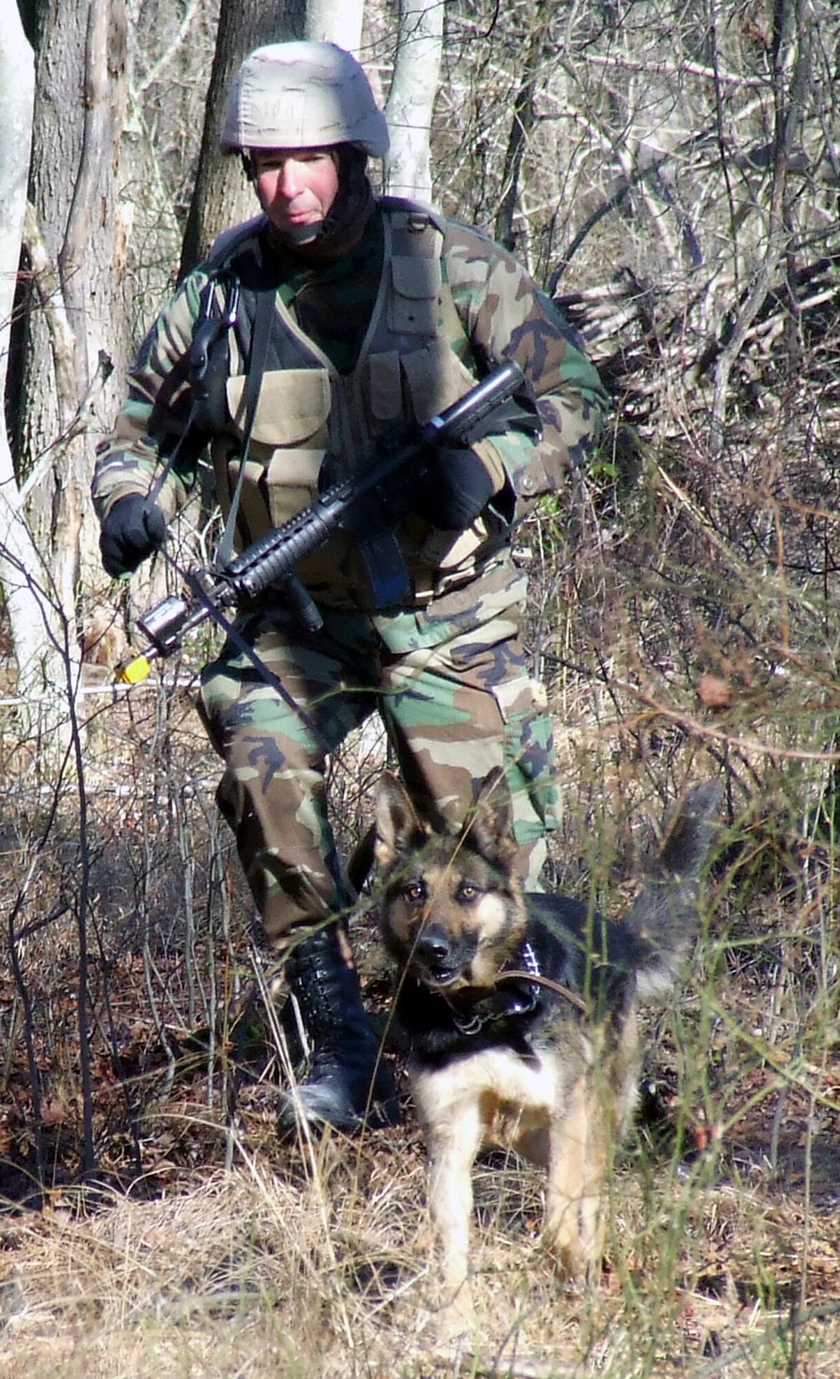 Staff Sgt. Christopher Dion and his military working dog Dena participate in training on a Fort Dix, N.J., range Feb. 14, 2008, for the Air Force Phoenix Warrior Training Course canine track.  Both completed the course before deploying to Afghanistan.  (U.S. Air Force Photo/Tech. Sgt. Scott T. Sturkol)