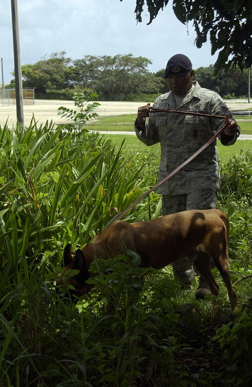 Mwds: An Irreplaceable Asset &Gt; Andersen Air Force Base &Gt; Features
