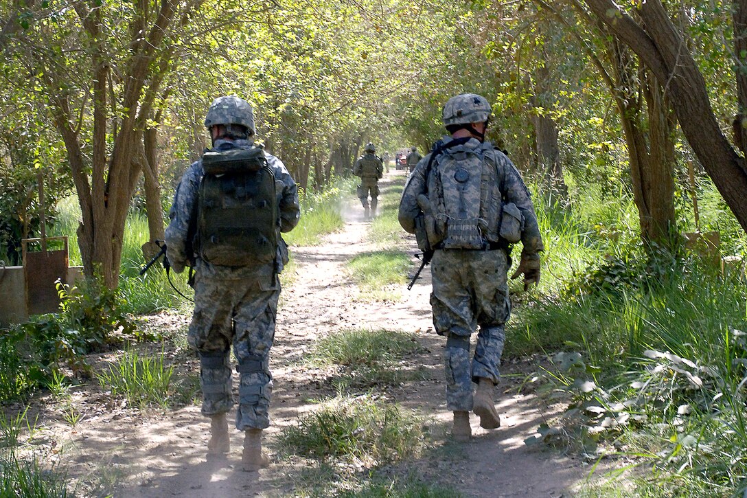 U.S. Army soldiers walk through orchids while on patrol and clearing the Owja Desert of Iraq, Oct. 10, 2008. 