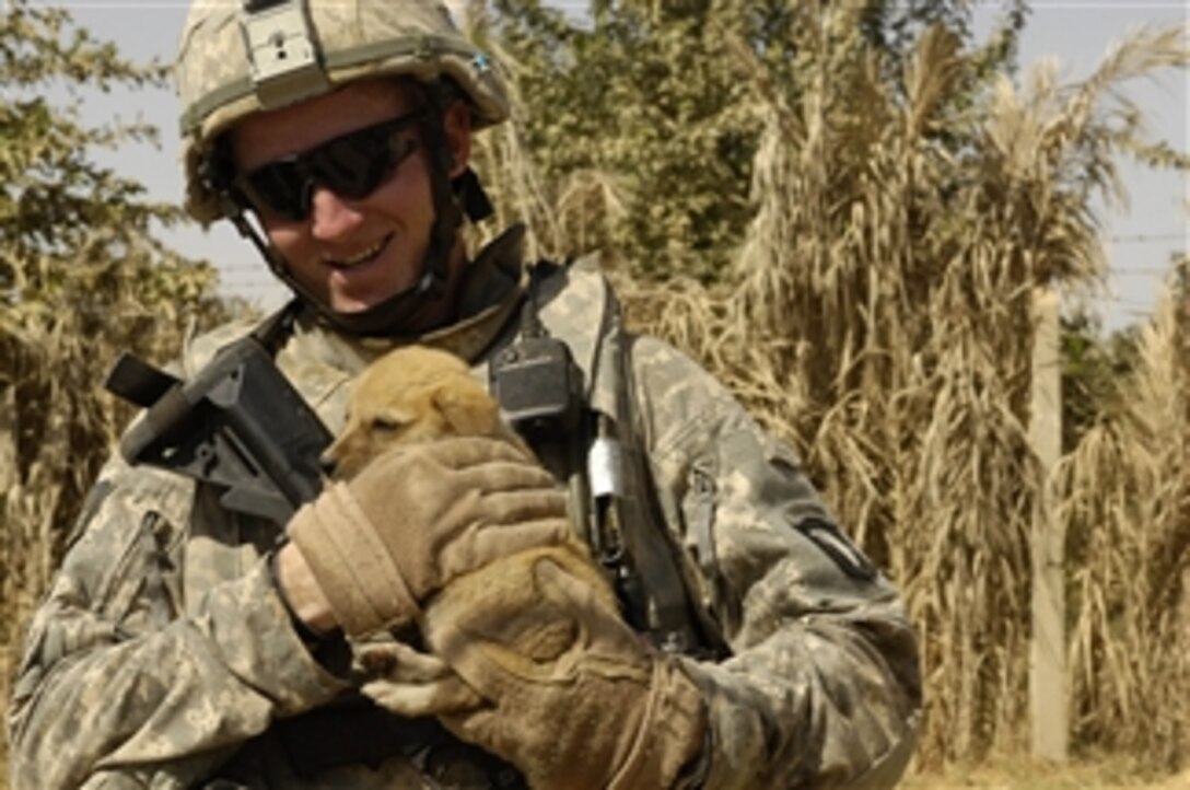 U.S. Army Staff Sgt. Michael Hall pets a puppy during a clearing mission in the Owja Desert of Iraq on Oct. 10, 2008.  Hall is assigned to the 1st Brigade Combat Team, 327th Infantry Regiment, 101st Airborne Division.  