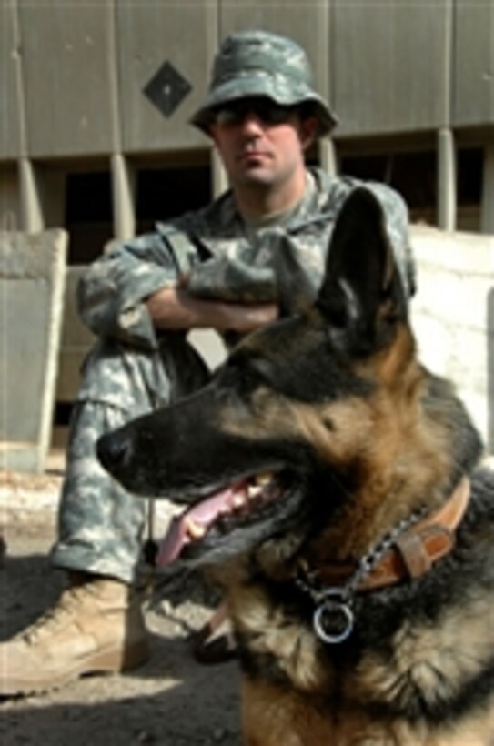 U.S. Air Force Tech. Sgt. Sinda, a ten-year-old bomb detecting military working dog, sits with his handler U.S. Air Force Staff Sgt Travis Hazelton as they wait for word to load up into vehicles in support of phase two of Operation Patriot Enforcement, a cordon and soft knock program in the neighborhood of Muhallah 904, Wehda, eastern Baghdad, Iraq, on Oct. 9, 2008.  The mission is being conducted by the Iraq 3-8-2 National Police and U.S. Army soldiers from Apache Troop, 3rd Squadron, 89th Cavalry, 4th Brigade Combat Team, 10th Mountain Division.  