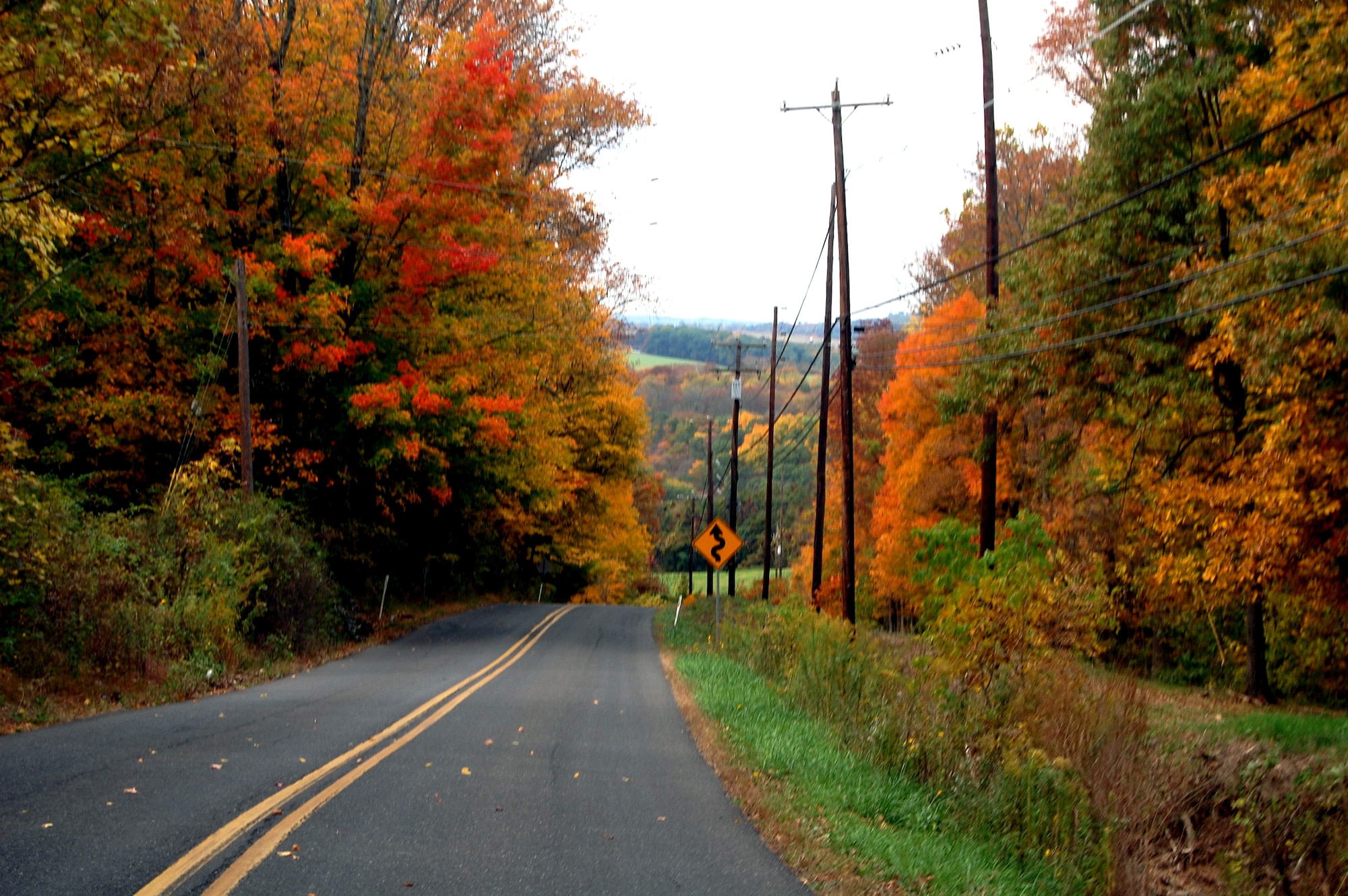 Driving along Highway 611 in Eastern Pennsylvania, orange leaves adorn trees along the roadside Oct. 13, 2008.  Sections of Highway 611 is also the Delware River Scenic Byway.  (U.S. Air Force Photo/Tech. Sgt. Scott T. Sturkol)