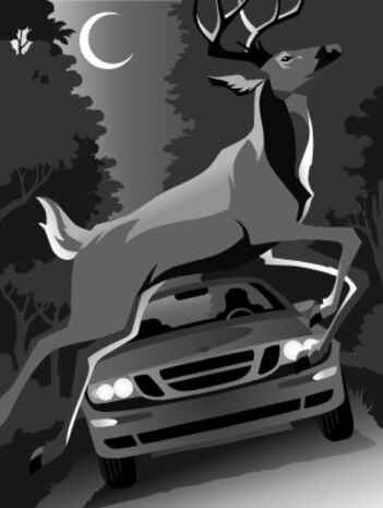 MINOT AIR FORCE BASE, N.D. -- Fall and winter seasons are the most common time for a person to hit a deer while driving. (Courtesy graphic)