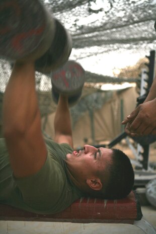 Lance Cpl. Miguel Valle, a satellite communications technician with Provisional Rifle Platoon 3, Regimental Combat Team 5, performs dumbbell presses while working out at Traffic Control Point 3 in Rawah, Iraq, Oct. 25.  Valle and the other Marines in the platoon take advantage of the weight sets and the shade of camouflage netting in the outdoor gym.::r::::n::