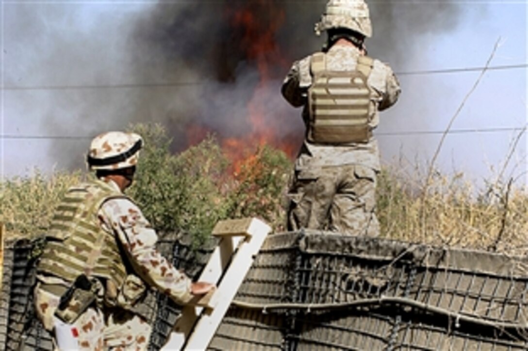 U.S. Marine Gunnery Sgt. Brian Lee and Australian Army Maj. David Bergman, standing on the ladder, watch the progress of a controlled burn on Bagram Air Field, Afghanistan, Oct. 20, 2008. 
The brush is being burned so that the area can be de-mined and to prevent creek flooding that can affect the airfield and nearby villages.
