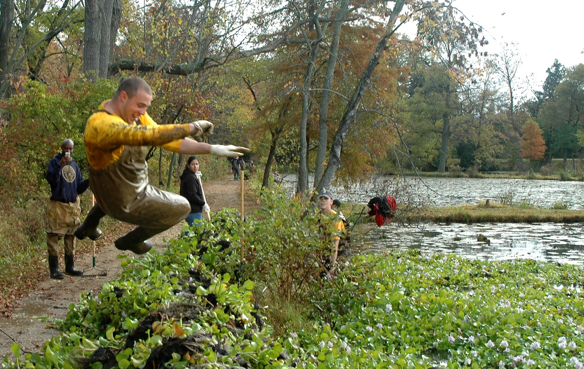 A Navy ceremonial guardsman dives into a pile of water lettuce Oct. 25 at Kenilworth Aquatic Garden in Washington, D.C. One hundred and seventy-six servicemembers from the Air Force District of Washington, Naval District of Washington and Military District of Washington spent four hours at the garden winterizing the park as part of a joint service project for national "Make a Difference Day."  (U.S. Air Force photo/R. Michael Longoria)