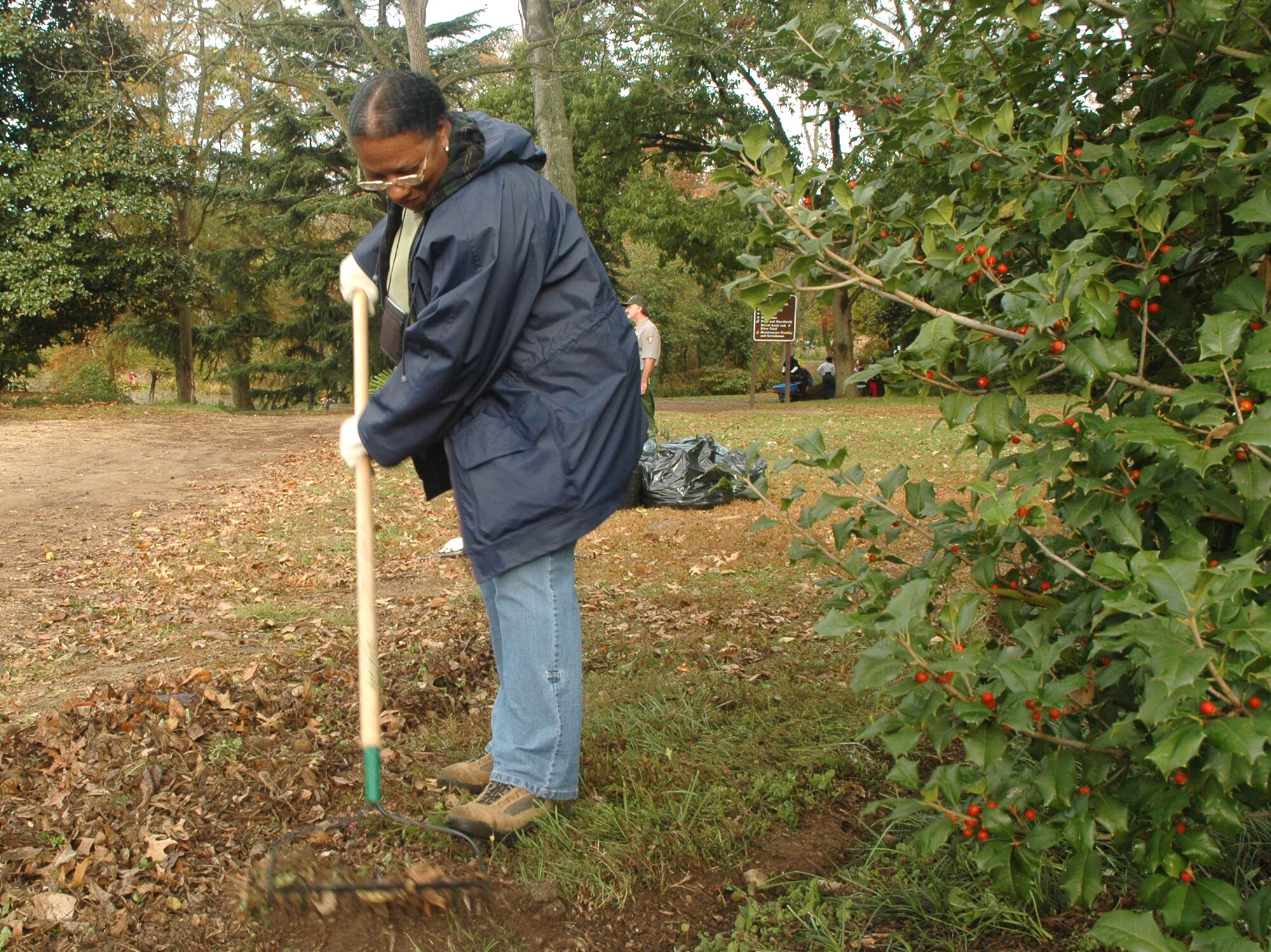 Mary S. Lee rakes leaves Oct. 25 at Kenilworth Aquatic Garden in Washington, D.C. Ms. Lee and her husband, Michael V. Lee, Air Force District of Washington, volunteered at the garden with Airmen, Sailors and Soldiers from the National Capital Region as part of a joint service project for national "Make a Difference Day." (U.S. Air Force photo/R. Michael Longoria)