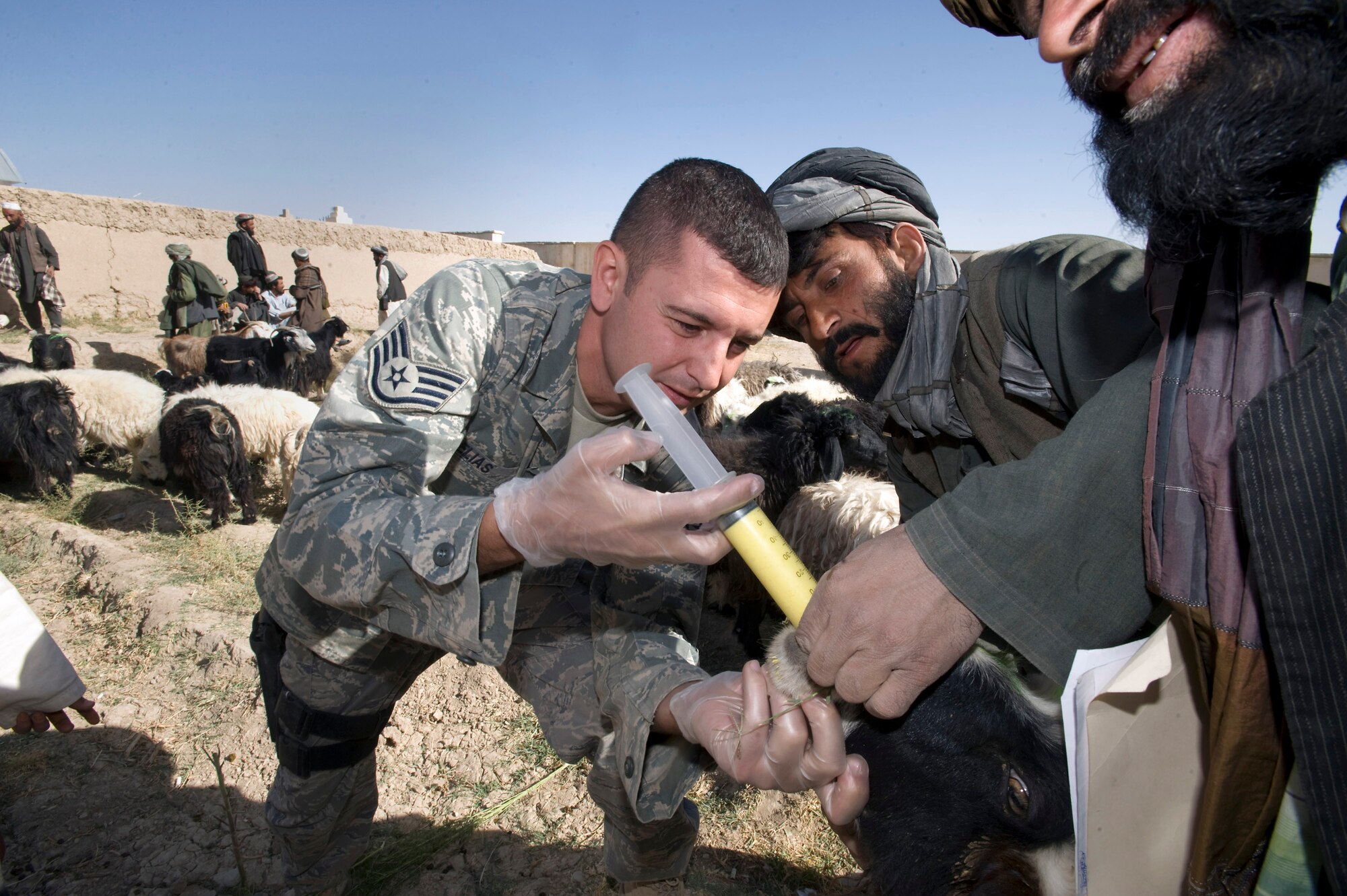 Staff Sgt. Don Elias deworms livestock during a veterinary medical outreach conducted by the Zabul Provincial Reconstruction Team Oct. 18 in Qalat, Afghanistan. The PRT members offered free deworming and vitamin supplements during the VMO. Sergeant Elias, a native of Buffalo, N.Y., is deployed from Wright-Patterson Air Force Base, Ohio. (U.S. Air Force photo/Master Sgt. Keith Brown) 
