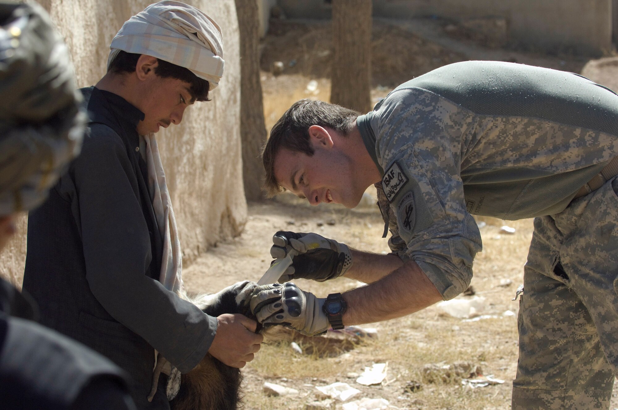 Army Spc. Don DeBardelan deworms Kuchi livestock during a veterinary medical outreach conducted by the Zabul Provincial Reconstruction Team Oct. 18 in Qalat, Afghanistan. The PRT members offered free deworming and vitamin supplements during the VMO. Specialist DeBardelan, a civil affairs specialist, coordinates with Kuchi leaders to provide their tribe humanitarian assistance. (U.S. Air Force photo/Master Sgt. Keith Brown) 
