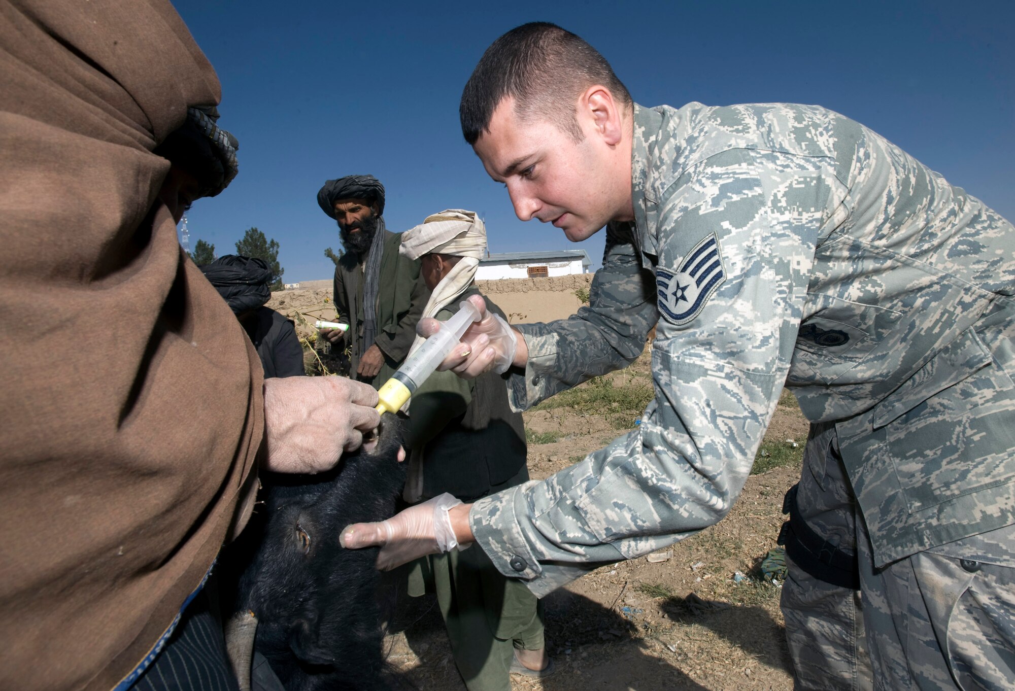 Staff Sgt. Don Elias deworms livestock during a veterinary medical outreach conducted by the Zabul Provincial Reconstruction Team Oct. 17 in Qalat, Afghanistan. The PRT members offered free deworming and vitamin supplements. Sergeant Elias, a native of Buffalo, N.Y., is deployed from Wright-Patterson Air Force Base, Ohio. (U.S. Air Force photo/Master Sgt. Keith Brown) 
