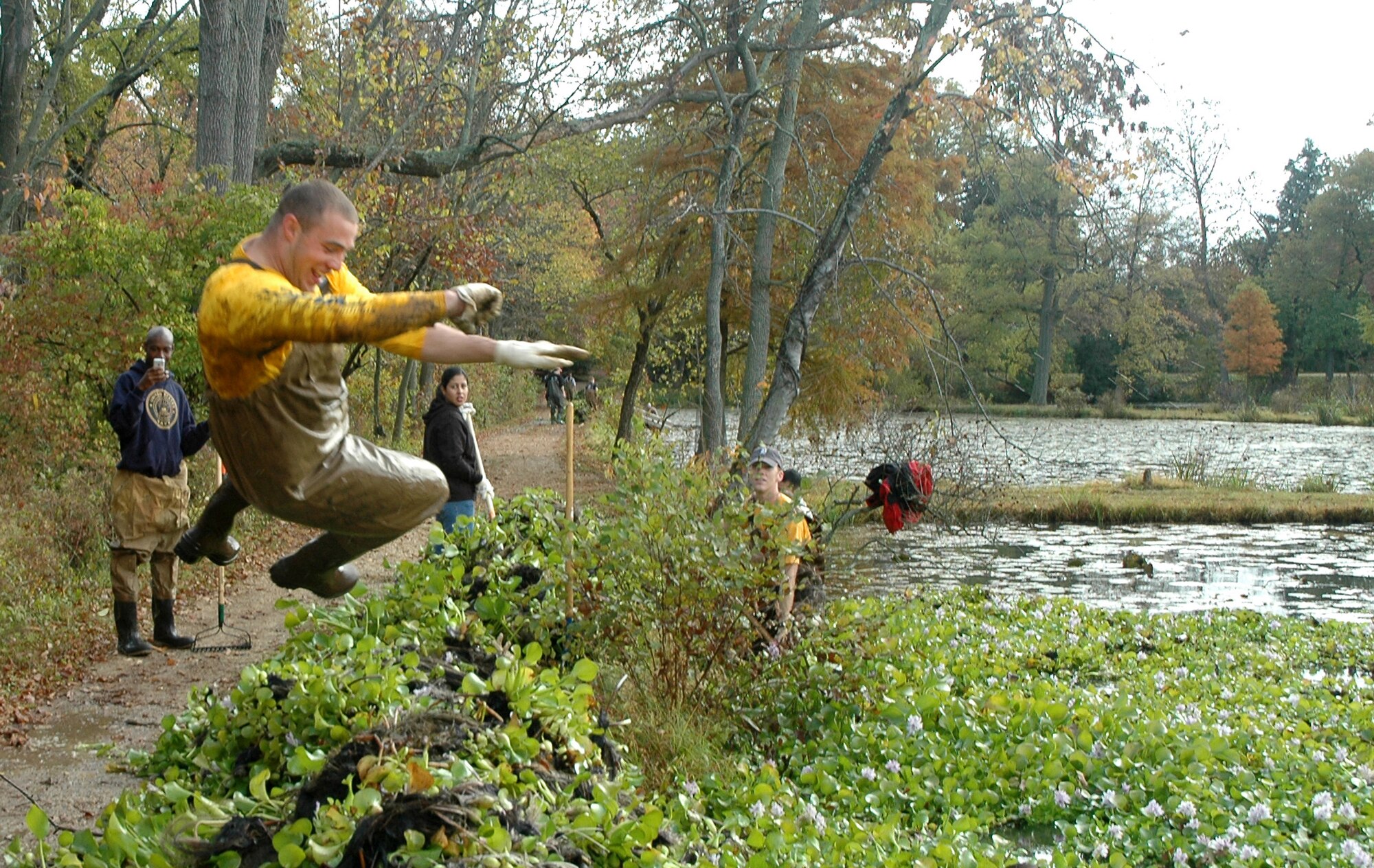 A Navy ceremonial guardsman dives into a pile of water lettuce Oct. 25 at Kenilworth Aquatic Garden in Washington. One hundred and seventy-six servicemembers from the Air Force District of Washington, Naval District of Washington and Military District of Washington spent four hours at KAQ winterizing the park as part of a joint service project for national “Make a Difference Day.” 