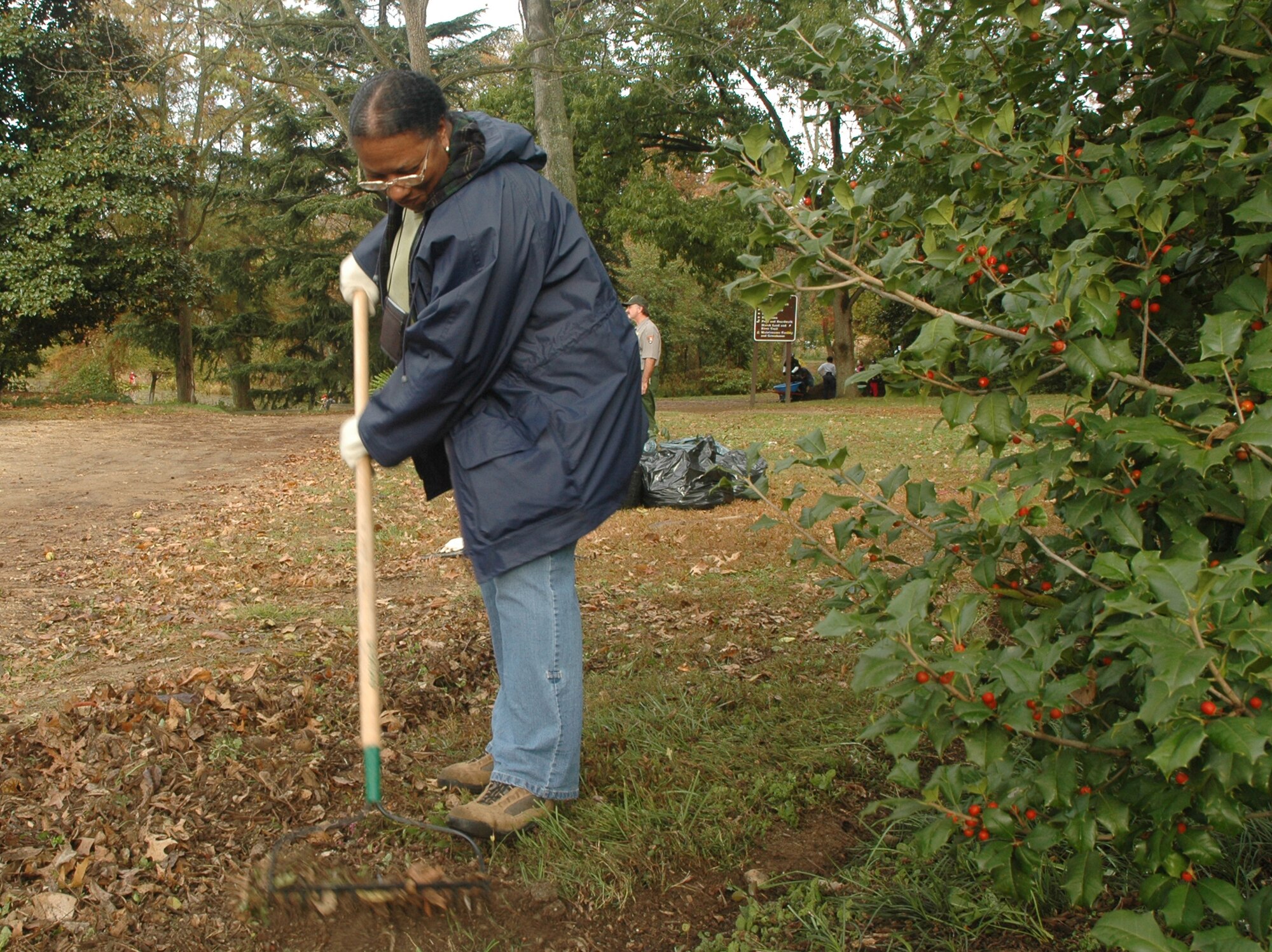 Mary S. Lee rakes leaves Oct. 25 at Kenilworth Aquatic Garden in Washington. Ms. Lee and her husband, Michael V. Lee, Air Force District of Washington, volunteered at KAQ with Airmen, Sailors and Soldiers from the National Capital Region as part of a joint service project for national “Make a Difference Day.”