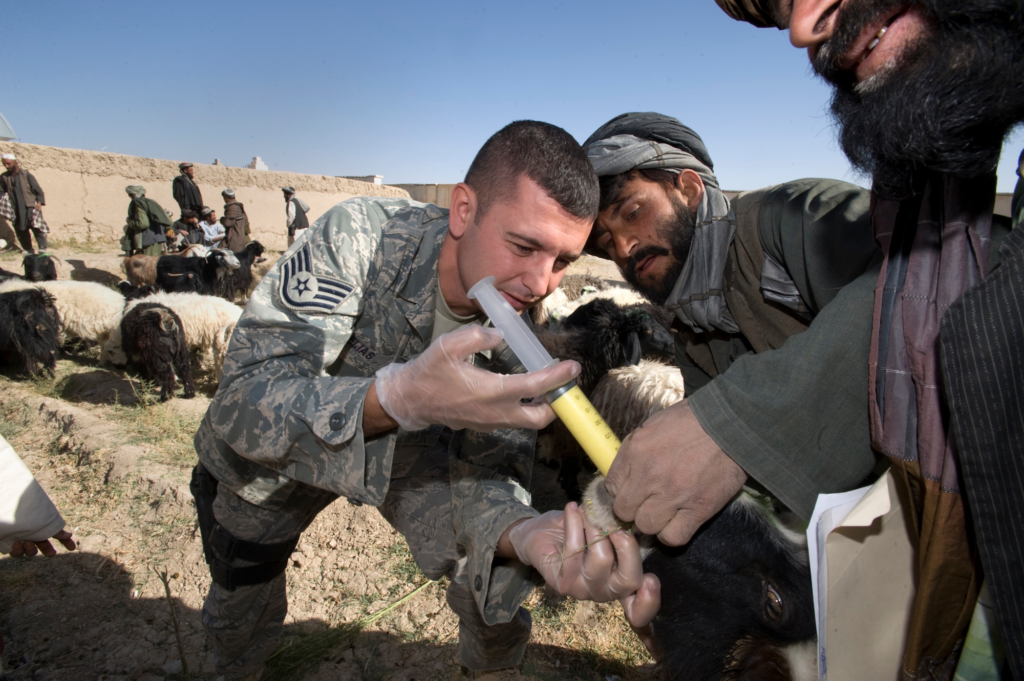 QALAT, Afghanistan -- Air Force Staff Sgt. Don Elias deworms livestock during a veterinary medical outreach conducted by the Zabul Provincial Reconstruction Team. The PRT members offered free deworming and vitamin supplements during the VMO. Sergeant Elias, a native of Buffalo, N.Y.,  is deployed from Wright-Patterson Air Force Base, Ohio. (U.S. Air Force photo/Master Sgt. Keith Brown)