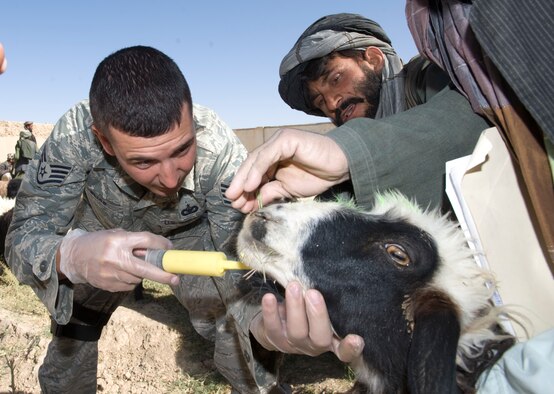 QALAT, Afghanistan -- Air Force Staff Sgt. Don Elias deworms livestock during a veterinary medical outreach conducted by the Zabul Provincial Reconstruction Team. The PRT members offered free deworming and vitamin supplements during the VMO. Sergeant Elias, a native of Buffalo, N.Y.,  is deployed from Wright-Patterson Air Force Base, Ohio. (U.S. Air Force photo/Master Sgt. Keith Brown)