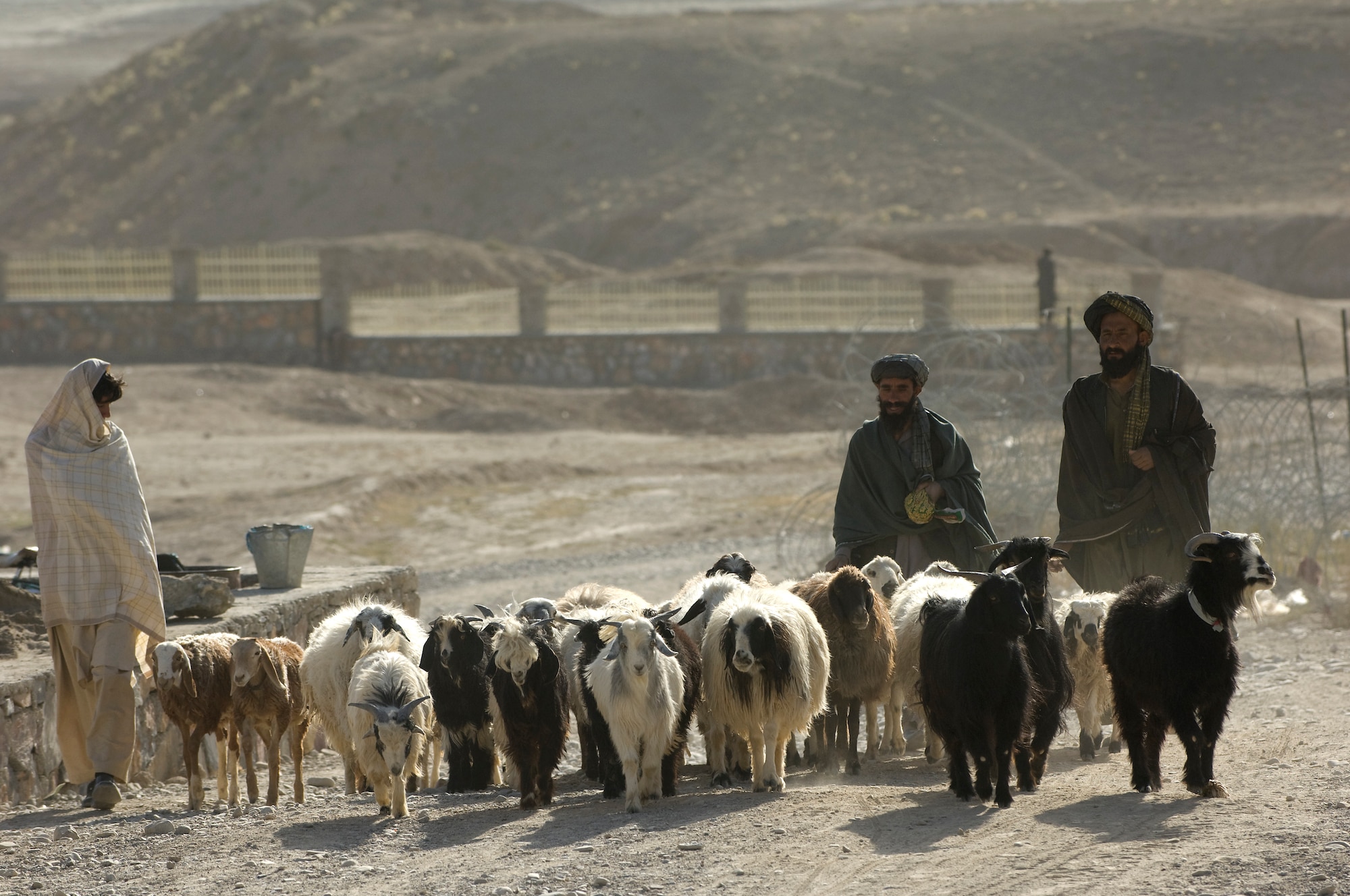 QALAT, Afghanistan -- Kuchi herders move their goats and sheep through the streets of Qalat toward a veterinary medical outreach conducted by the Zabul Provincial Reconstruction Team. The PRT members offered free deworming and vitamin supplements during the VMO. (U.S. Air Force photo/Master Sgt. Keith Brown)