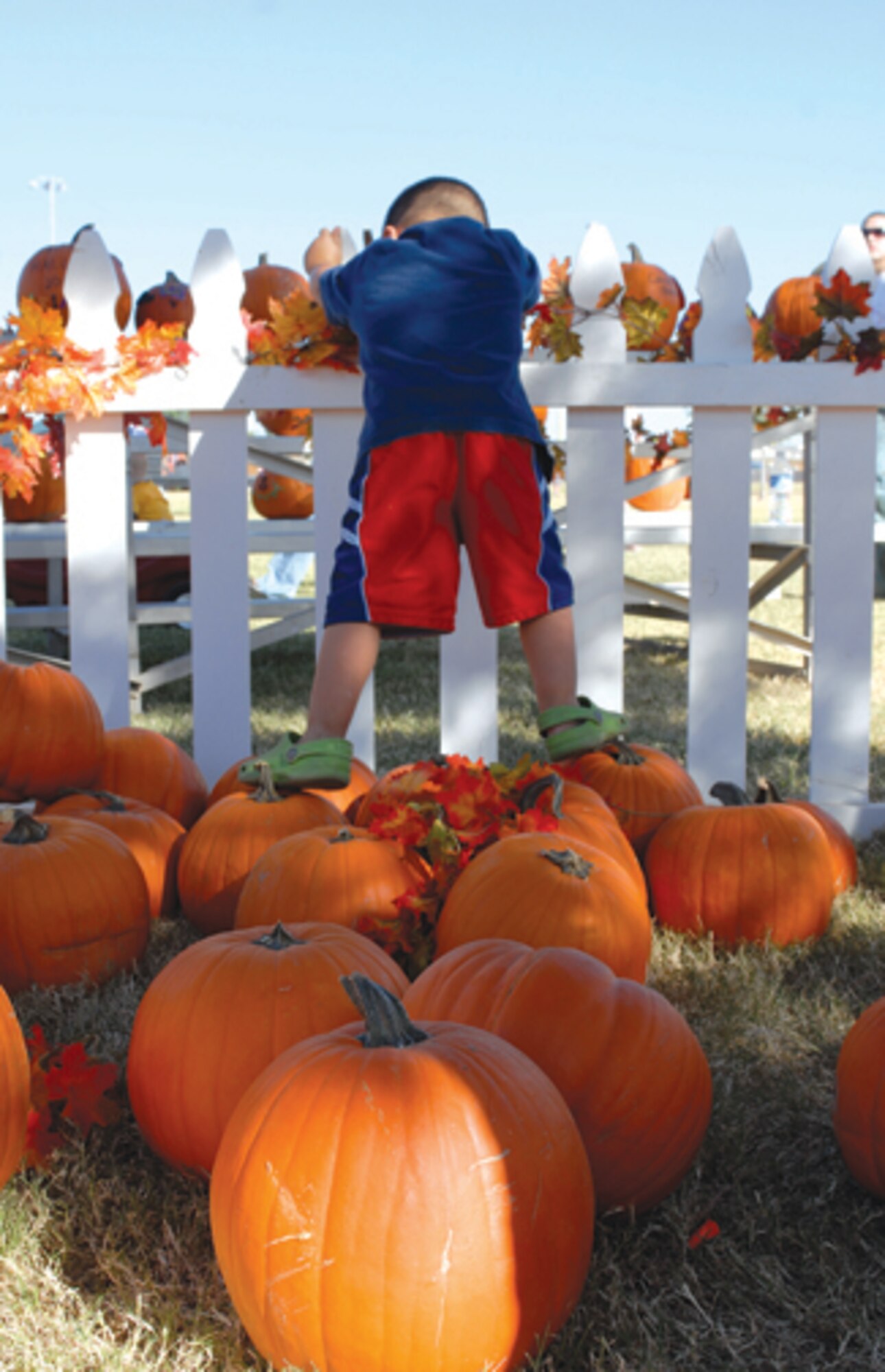 Dilan Verduzco, 3, balances on pumpkins in the Fall Festival pumpkin patch.(U.S. Air Force photo/ Deborah Silliman-Wolfe.)