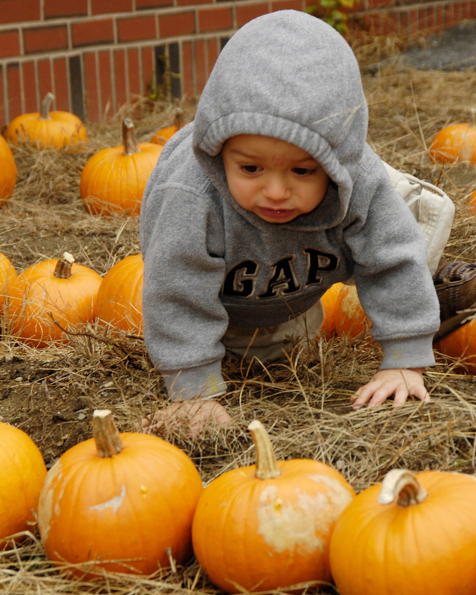 HANSCOM AIR FORCE BASE, Mass. – Nolan Peavey looks for just the right pumpkin to decorate during the Child Development Center’s family pumpkin decorating activity on Oct. 28.  During the event families enjoyed a visit to the pumpkin patch, as well as cider and donuts. The CDC sponsors many events throughout the year for families enrolled in the Center to enjoy time together. (U.S. Air Force photo by Linda LaBonte Britt)