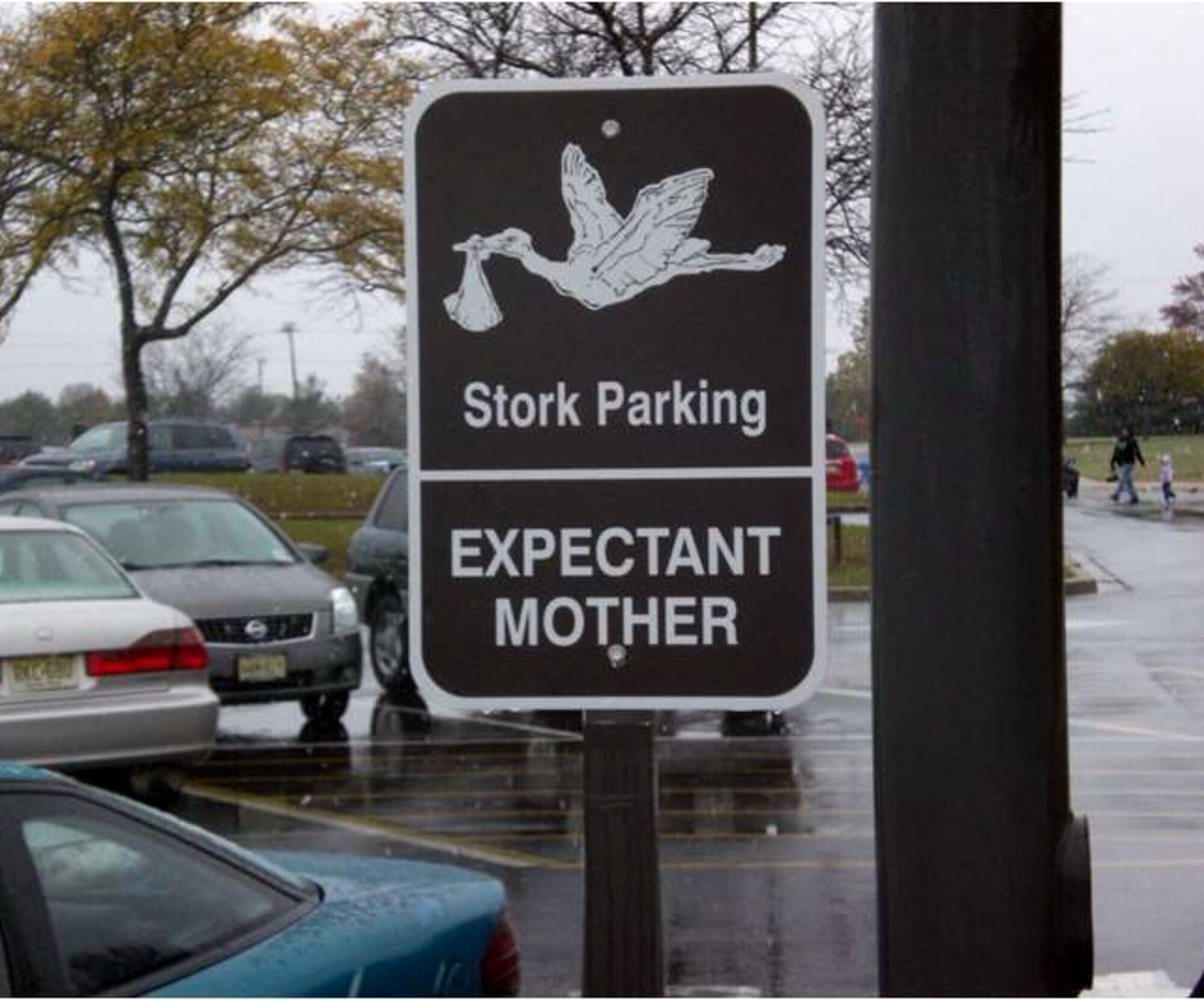 The 305th Civil Engineer Squadron recently finished installing Stork Parking signs, for expectant mothers, at the BX, Commissary and McGuire Fitness Center. As a quality of life initiative, the 305th Air Mobility Wing leadership wanted to ensure families, particularly mothers who are expecting and may have other children, have an easier time while using base facilities. (U.S. Air Force courtesy photo)