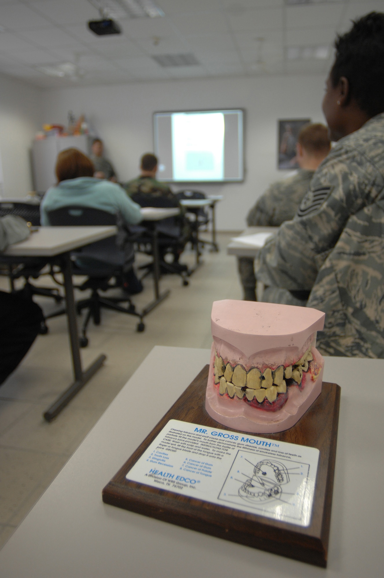 A model of what a tobacco user's mouth looks like during a quit tobacco use cessation class taught by the Health and Wellness Center, Ramstein Air Base, Germany, Oct. 29, 2008. November is the Air Force's Quit Tobacco Use Month. (U.S. Air Force photo by Airman 1st Class Heidi Holston)