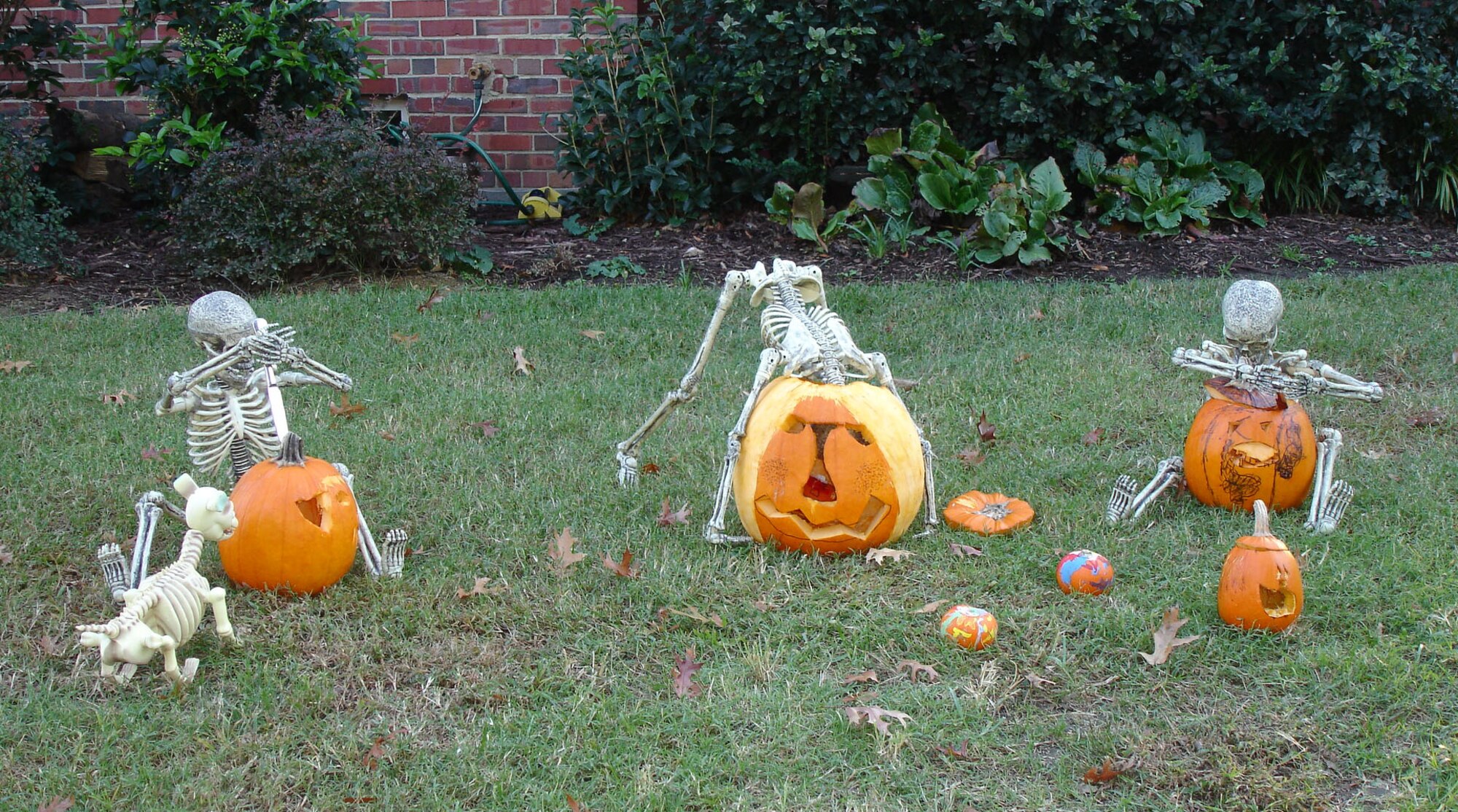 LANGLEY AIR FORCE BASE, Va. -- Skeletons carve pumpkins in front of the Taylor residence Oct. 27. Since Oct. 10, Col. Nevin Taylor, his wife, Stephanie, and their children, Ashlyne, 9; Kyron, 7; and Brynn, 5; have created daily skeleton scenes ranging from yard work to roasting marshmallows. The Taylors will create their last skeleton scene Nov. 1, which can be viewed from Dodd Boulevard. To see the skeleton slideshow, visit http://www.acc.af.mil/skeletontakeover.asp. (Photos courtesy/Ms. Kelly Price)