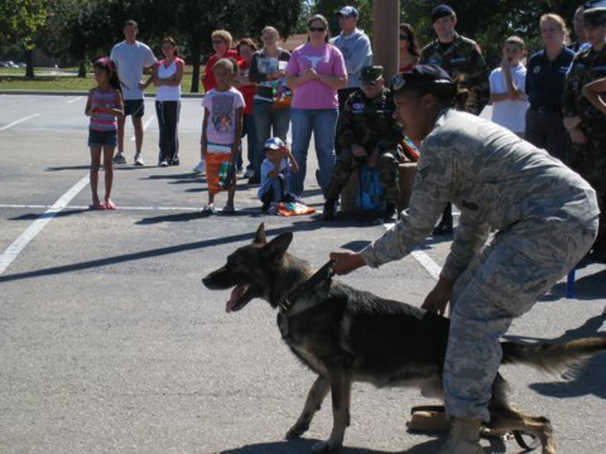 Senior Airman Chandrea Roberts, 325th Security Forces Squadron military working dog handler, performs a working dog demonstration during the Red Ribbon event held Oct. 25 in the Base Exchange parking lot.  Her partner Walker, a five-year old German shepherd, is a certified explosive patrol dog and is trained in the art of stopping assailants. Airman Roberts and Walker are scheduled to deploy together January 2009.  (U.S. Air Force photo by Maj. Veronica Kemeny)