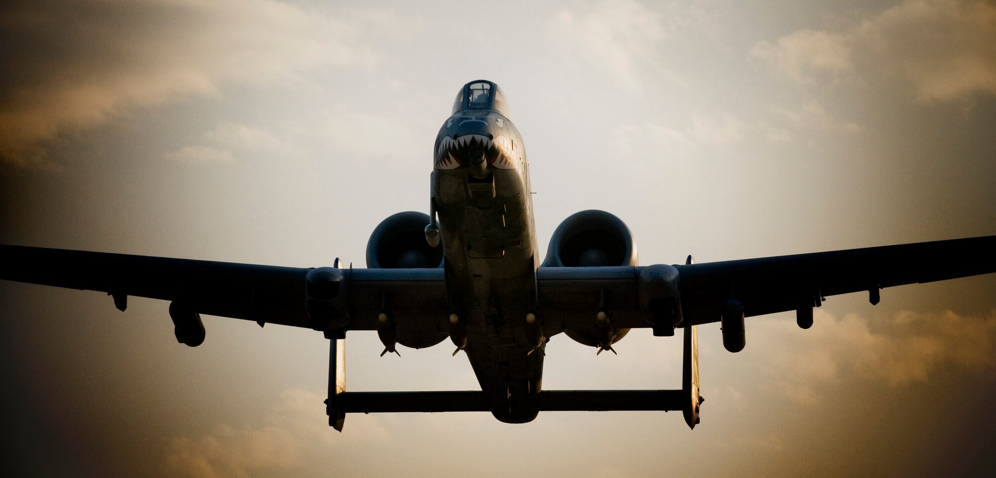 An A-10 Thunderbolt II takes off from Bagram Air Field Oct. 18. The nose art on the plane signifies that this A-10 is part of the "Flying Tigers" legacy dating back to the World War II era. (U.S. Air Force photo by Staff Sgt. Samuel Morse/Released)