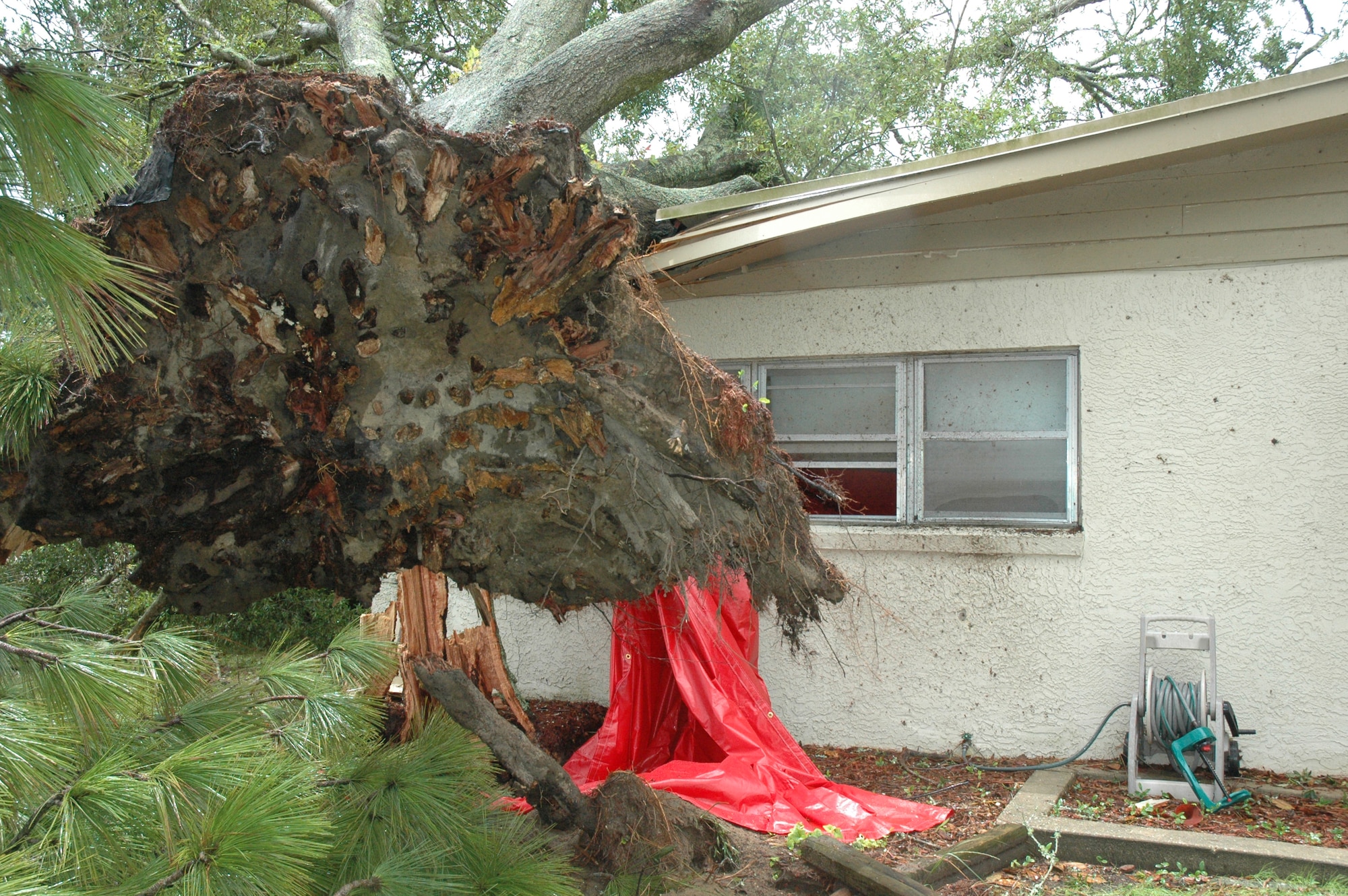 An uprooted tree rests on the home of Airman 1st Class Devin Hennessy, 46th Operations Support Squadron, after a tornado touched down in Eglin's housing area Sept. 1.  (U.S. Air Force photo by Tech. Sgt. Brian Jones)