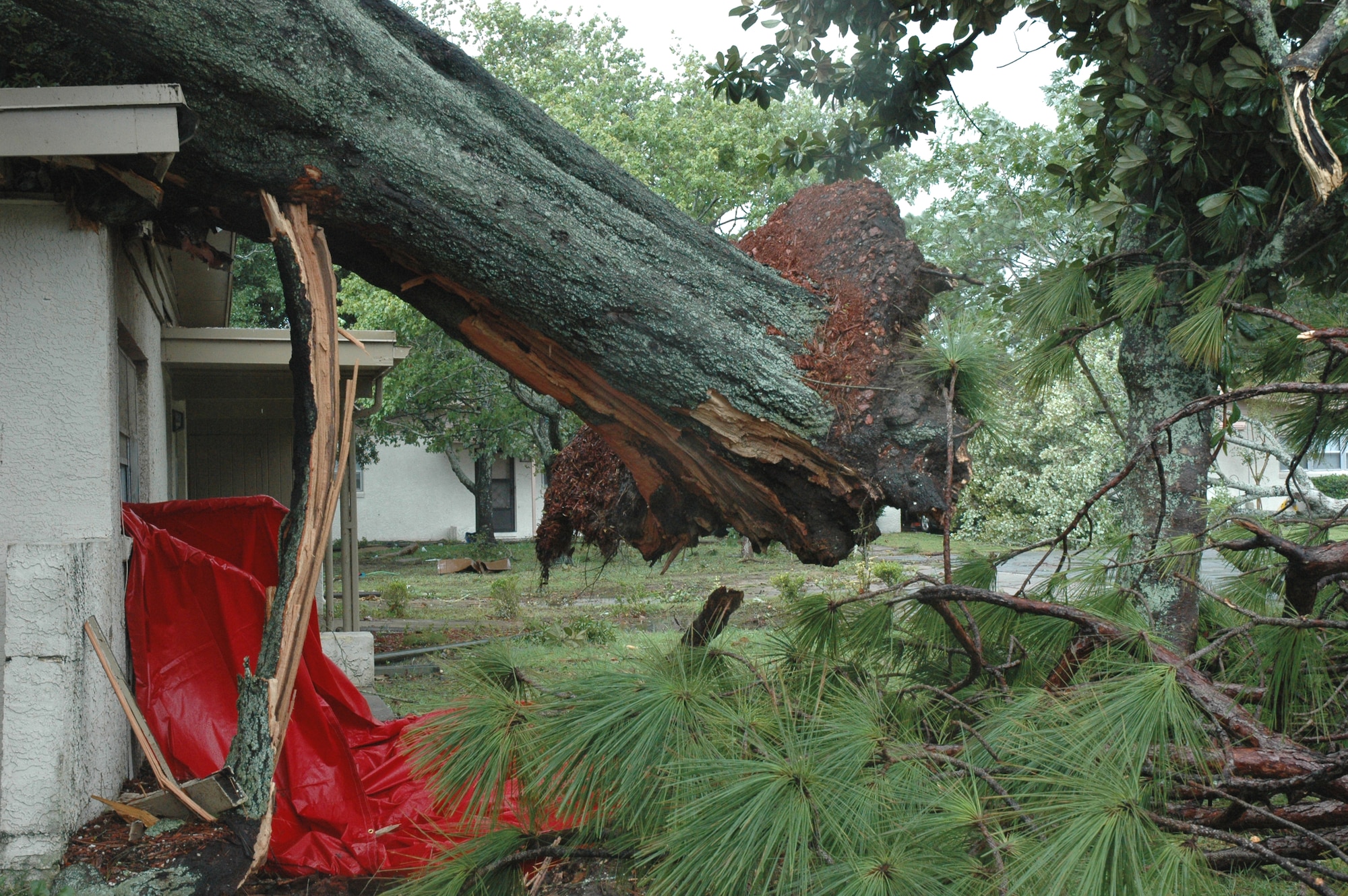 An uprooted tree rests on the home of Airman 1st Class Devin Hennessy, 46th Operations Support Squadron, after a tornado touched down in Eglin's housing area Sept. 1.  (U.S. Air Force photo by Tech. Sgt. Brian Jones)