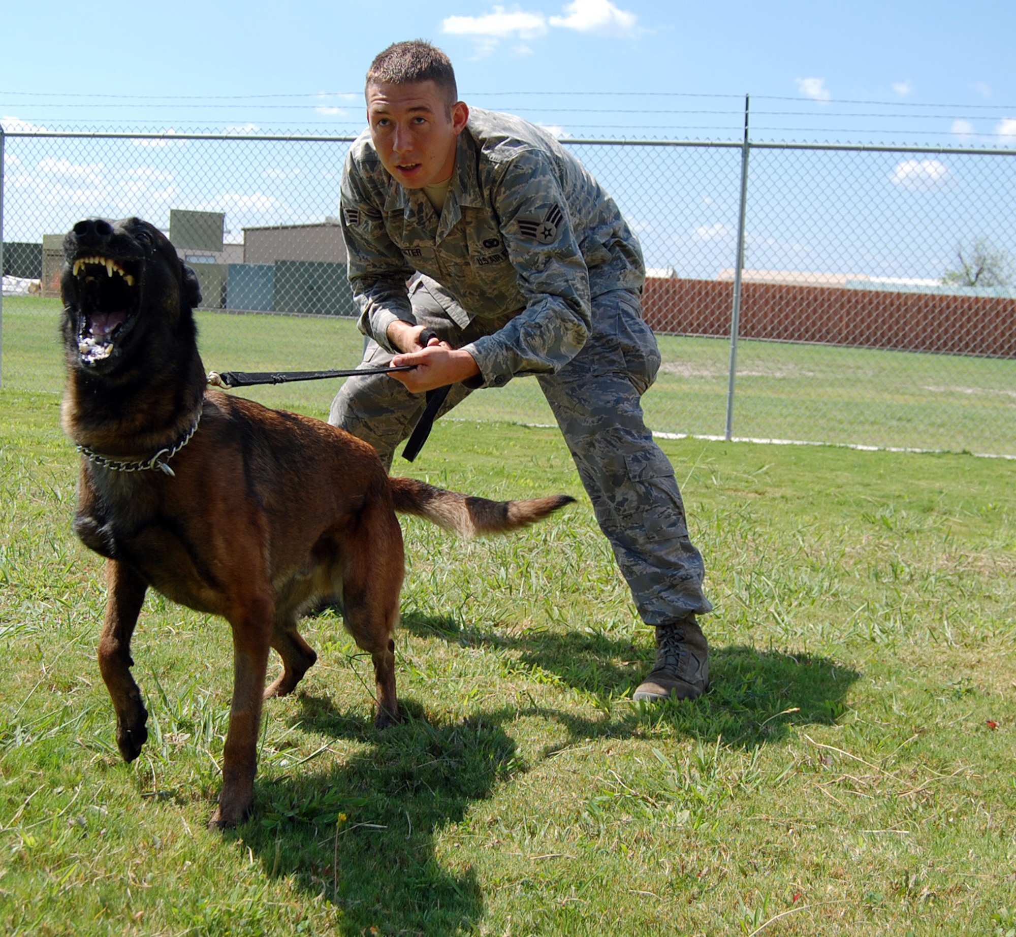 LAUGHLIN AIR FORCE BASE, Texas -- Senior Airman Ryan Troester and K-245 Xxavier, 47th Security Forces Squadron, start a session of training here recently by having Xxavier get excited about his training tools. They represented the 47th SFS for its first appearance at the trials held in Colorado Springs, Colo. recently. (U.S. Air Force photo by Airman1st Class Sara Csurilla)