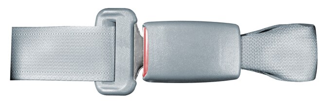 Seat Belt (File Photo)