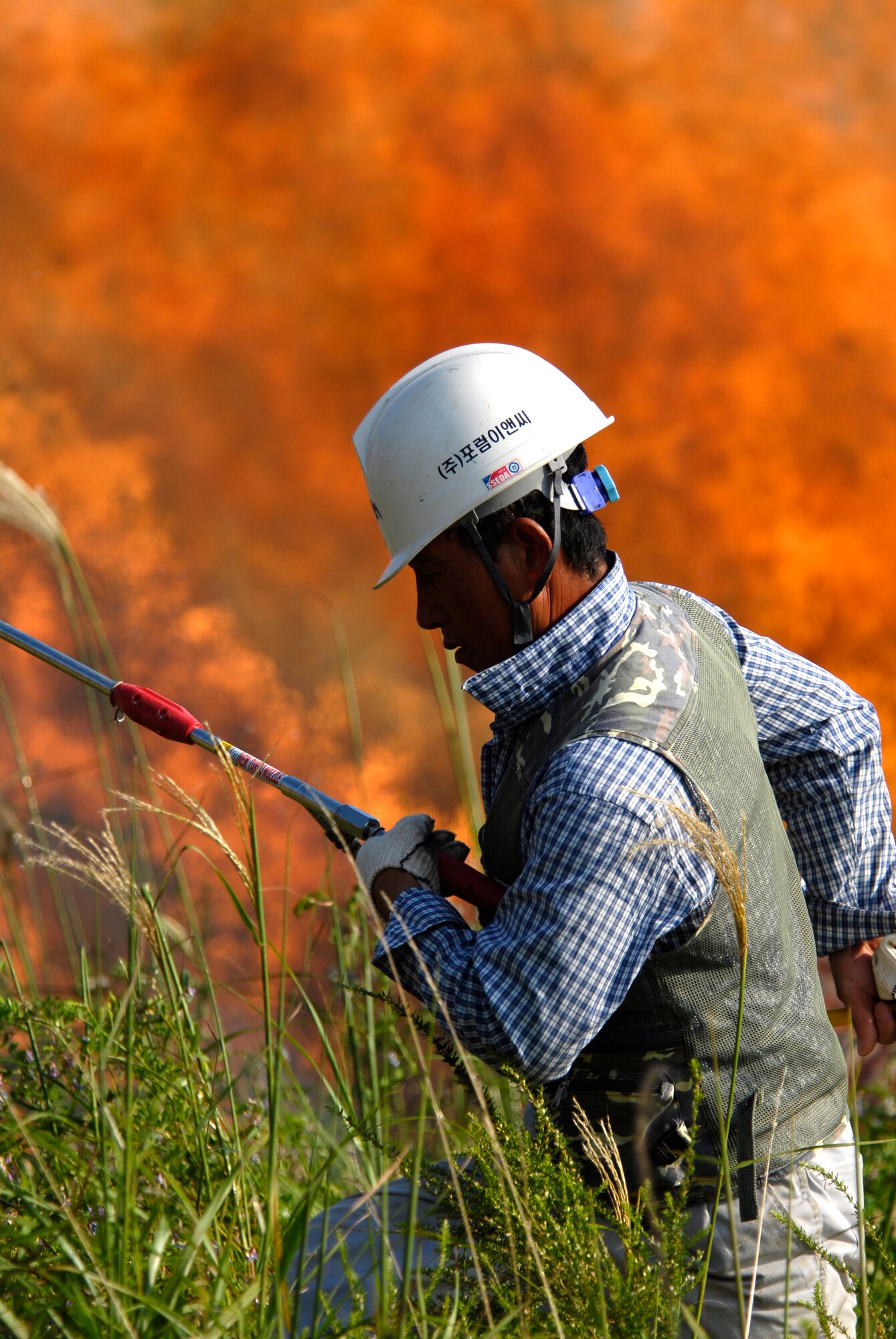 Local contractor, Je Ho So, wets the ground around a burning pile of tree limbs with Pine Blight to keep the fire from spreading here Aug. 30. The limbs were removed and burned to eradicate the infection and prevent it from spreading to other trees in the area. (U.S. Air Force photo/Staff Sgt. Jason Colbert)