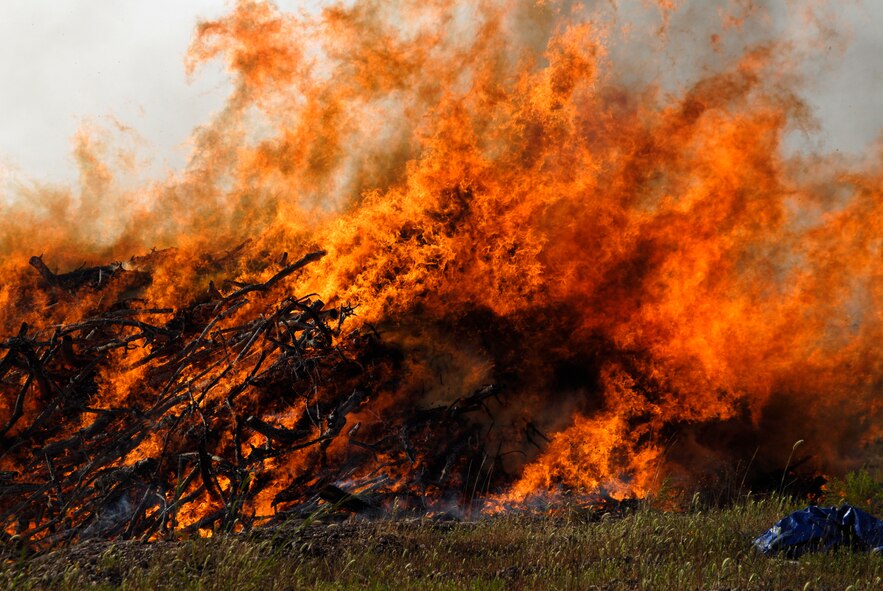 A pile of trees that have been infected with Pine Blight burn after being collected and put to the torch on 30 Aug 2008 at Kunsan AB, South Korea. The trees were burnt to keep the other trees in the area from being infected with the disease. (U.S. Air Force photo/Staff Sgt. Jason Colbert)