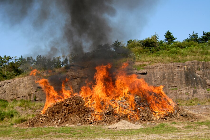 A pile of trees that have been infected with Pine Blight burn after being collected and put to the torch on 30 Aug 2008 at Kunsan AB, South Korea.The trees were burnt to keep the other trees in the area from being infected with the disease. (U.S. Air Force photo/Staff Sgt. Jason Colbert)