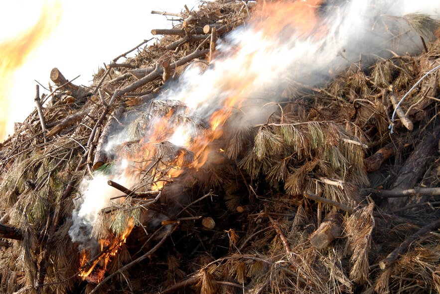 A pile of trees that have been infected with Pine Blight burn after being collected and put to the torch on 30 Aug 2008 at Kunsan AB, South Korea. The trees were burnt to keep the other trees in the area from being infected with the disease. (U.S. Air Force photo/Staff Sgt. Jason Colbert)