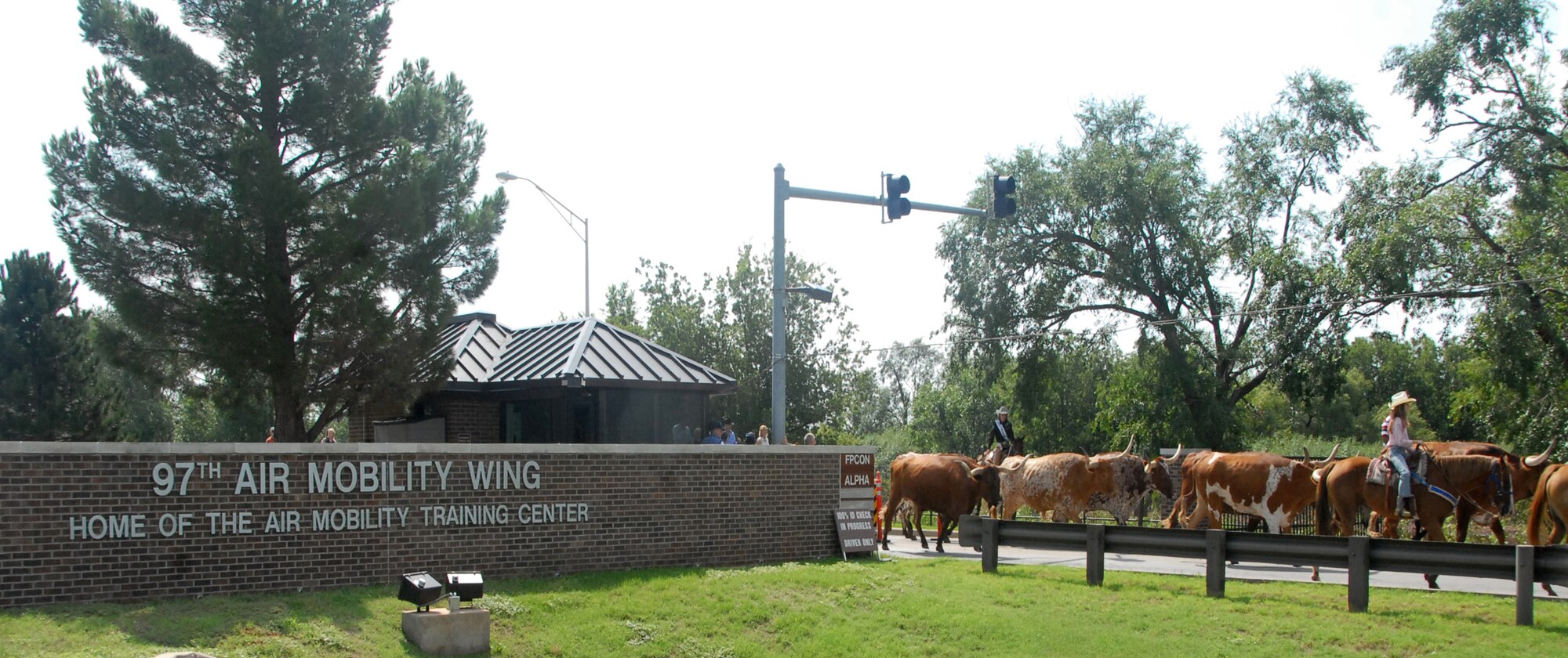 Longhorn cattle leaving through Altus Air Force Base main gate. (U.S.Air Force photo/Airman 1st Class Cherice I. Byrant)