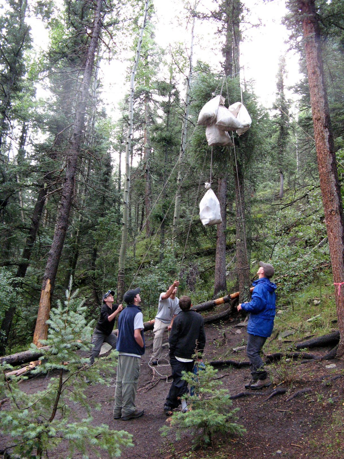 輝く高品質な Laughlin Boy Scout Troop 280 accomplishes Philmont Trek 16号～