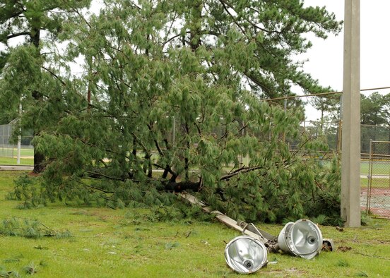 SEYMOUR JOHNSON AIR FORCE BASE, N.C.,-- A large tree sits atop a light pole after Strong winds and rain brought by Tropical Storm Hanna swept through Seymour Johnson Air Force Base, N.C., Sept.6