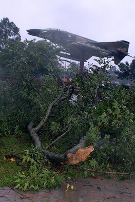 SEYMOUR JOHNSON AIR FORCE BASE, N.C., -- A tree branch lies in front of an F-4 Phantom static display at Heritage Park here as a result of Tropical Storm Hanna, which ripped through eastern North Carolina Sept. 6. Though the storm passed directly over the installation, no major damage was sustained. "Tropical Storm Hanna caused only minor damage," said Maj. Rob Grover, 4th Civil Engineer Squadron Operations Flight commander. "We lost approximately 12 trees and several limbs across base with some minor flooding in low areas.  The winds also caused some power outages, but we were able to restore everything within about two hours. While 4 CES is responsible for most cleanup and recovery efforts, assistance by the 4th Logistics Readiness Squadron and the rest of the Wing cleaning up debris made a huge difference and got the base ready for the 4th Fighter Wing Change of Command ceremony Tuesday." (U.S. Air Force photo by Staff Sgt. Shawn J. Jones) 

