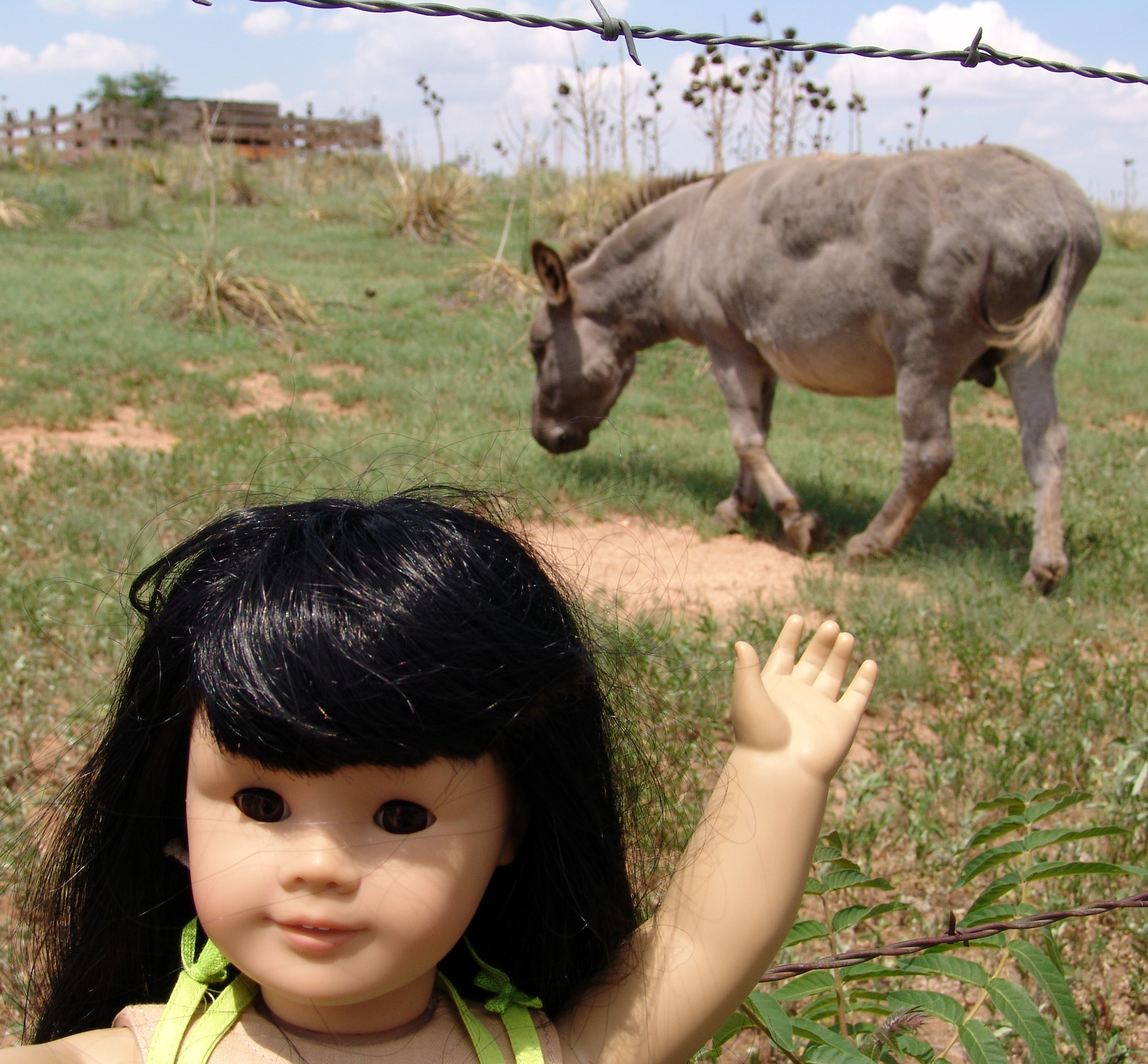 Kealoha, an American Girl Travelling Doll that belongs to Katherine McDaniel, poses by a donkey pen near Cannon AFB, N.M., during her almost year-long journey to visit military and civilian host families.  Katherine is the daughter of Tech. Sgt. Kenneth McDaniel with the 71st Flying Training Wing here. (Photo by Rebecca LeRoy) 