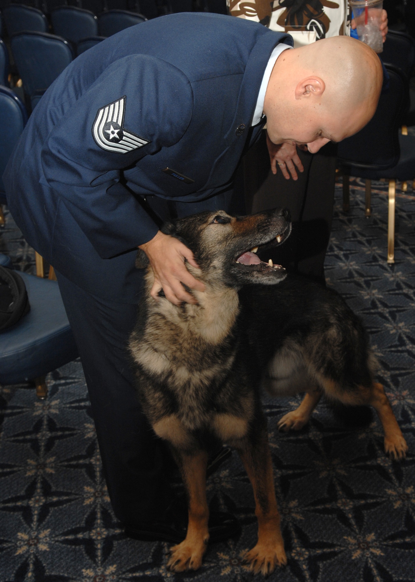 SPANGDAHLEM AIR BASE, Germany -- Tech. Sgt. Bruce Fuller, 52nd Security Forces Squadron, congratulates Military Working Dog Agar after an MWD Retirement Ceremony Sept. 4, 2008. Over the last five years, MWD Agar served his handlers and the U.S. Air Force with loyalty and honor. He was retired from service and adopted by his handler of two and a half years, Staff Sgt. Patricia Fuller, 52nd SFS  (U.S. Air Force photo by Airman Staci Miller)