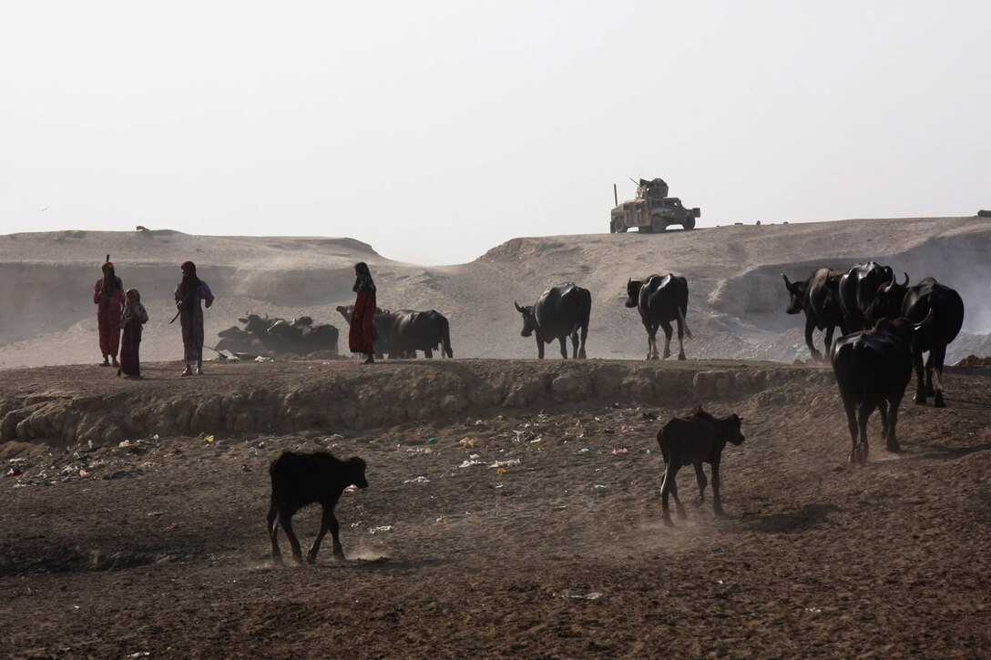 Children from the Fedaliyah area of New Baghdad play while their father, a local farmer, herds his jammous back to their home after cooling off in the Diyala River, Sept. 2, 2008. Jammous are domesticated water buffalo used for meat and milk. About 10 percent of the jammous population in Iraq resides in Fedaliyah. U.S. Army photo by Pfc. Lyndsey Dransfield, Multinational Division Baghdad