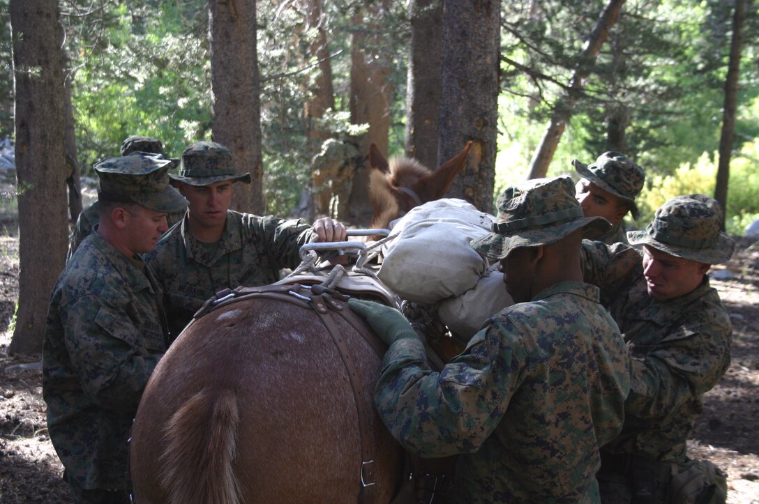 Marines with Company L, 3rd Battalion, 5th Marine Regiment, unpack a cargo drop full of boxes of Meals Ready to Eat at Hawthorne Army Depot near Bridgeport, Calif., Sept. 15, 2008. The aerial delivery was executed by Marine Aerial Refueler Transport Squadron 352 in support of 3/5’s battalion operations.  The battalion is conducting training in high-altitude, complex, compartmentalized terrain aboard the Marine Corps Mountain Warfare Training Center in preparation for an upcoming 31st Marine Expeditionary Unit (SOC) deployment.