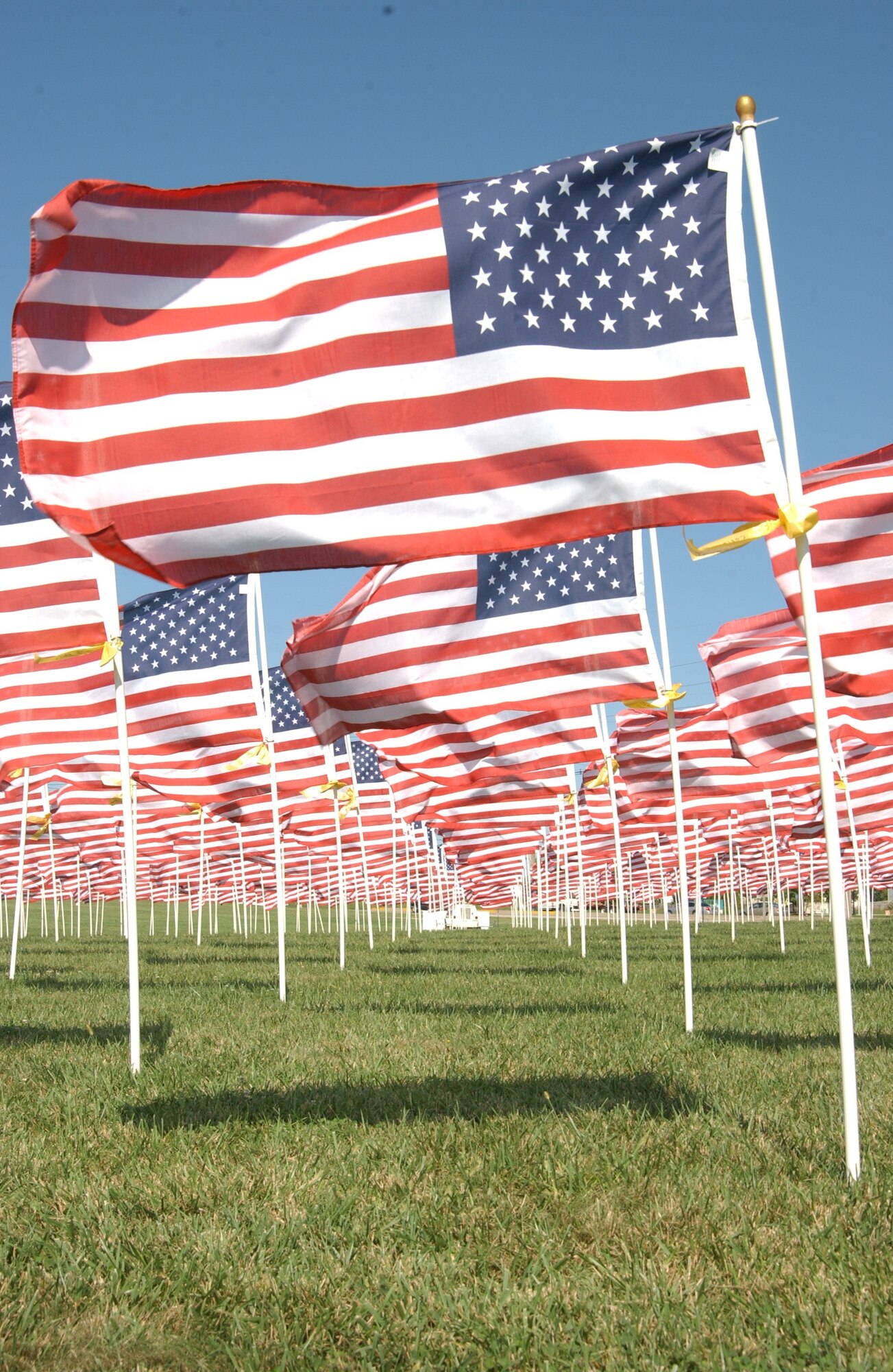 A sign of patriotism can be seen in front of Southwestern Illinois College at Healing Field with 400 flags on display to honor past and present servicemembers and victims of child abuse. The idea for Healing Field came after the Sept. 11 attacks and can be seen all over the U.S.

(Air Force photo/ Airman 1st Class Amber Kelly-Woodward)