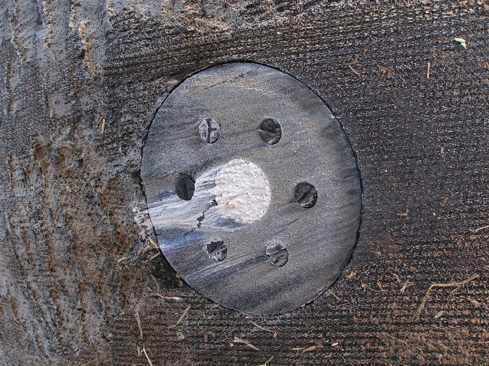 AFRL researchers tested composite fasteners aboard a Russian spacecraft heatshield.  The Russian Foton-M3 launched from Kazakhstan one year ago on Sept. 14, 2007 carried the AFRL experiment into a 12-day orbit before renentering the atmosphere.  Photo is a close-up view of a holder and material sample after touchdown.  (U.S. Air Force photo)